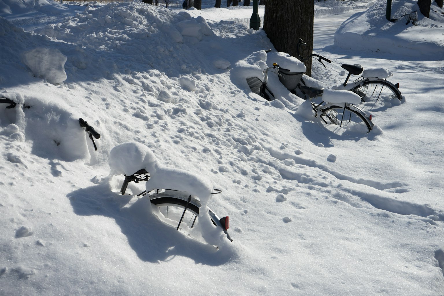 Vélos recouverts de neige avec un paysage d'hiver lumineux