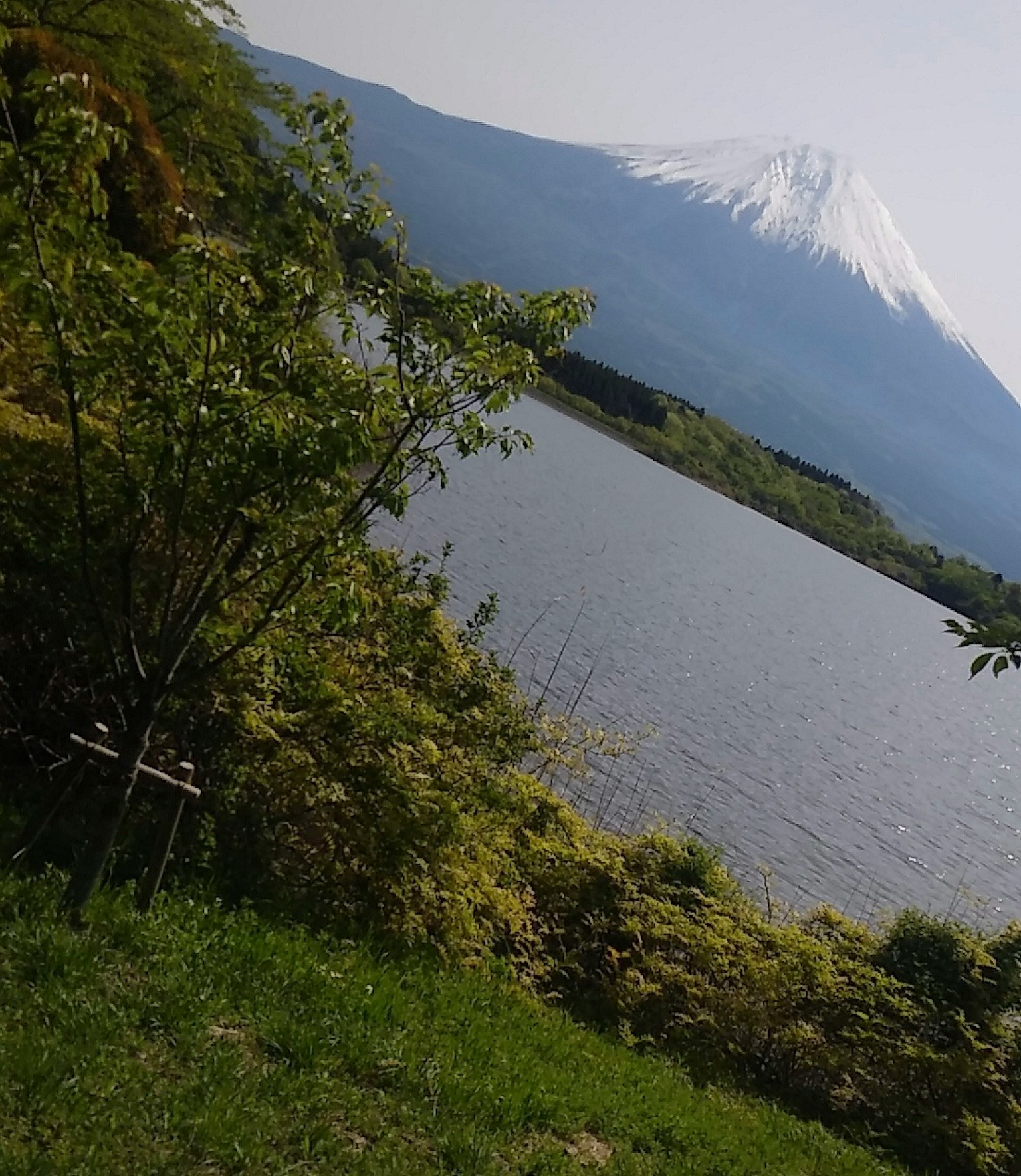 Vue panoramique du Mont Fuji et d'un lac entouré de verdure luxuriante