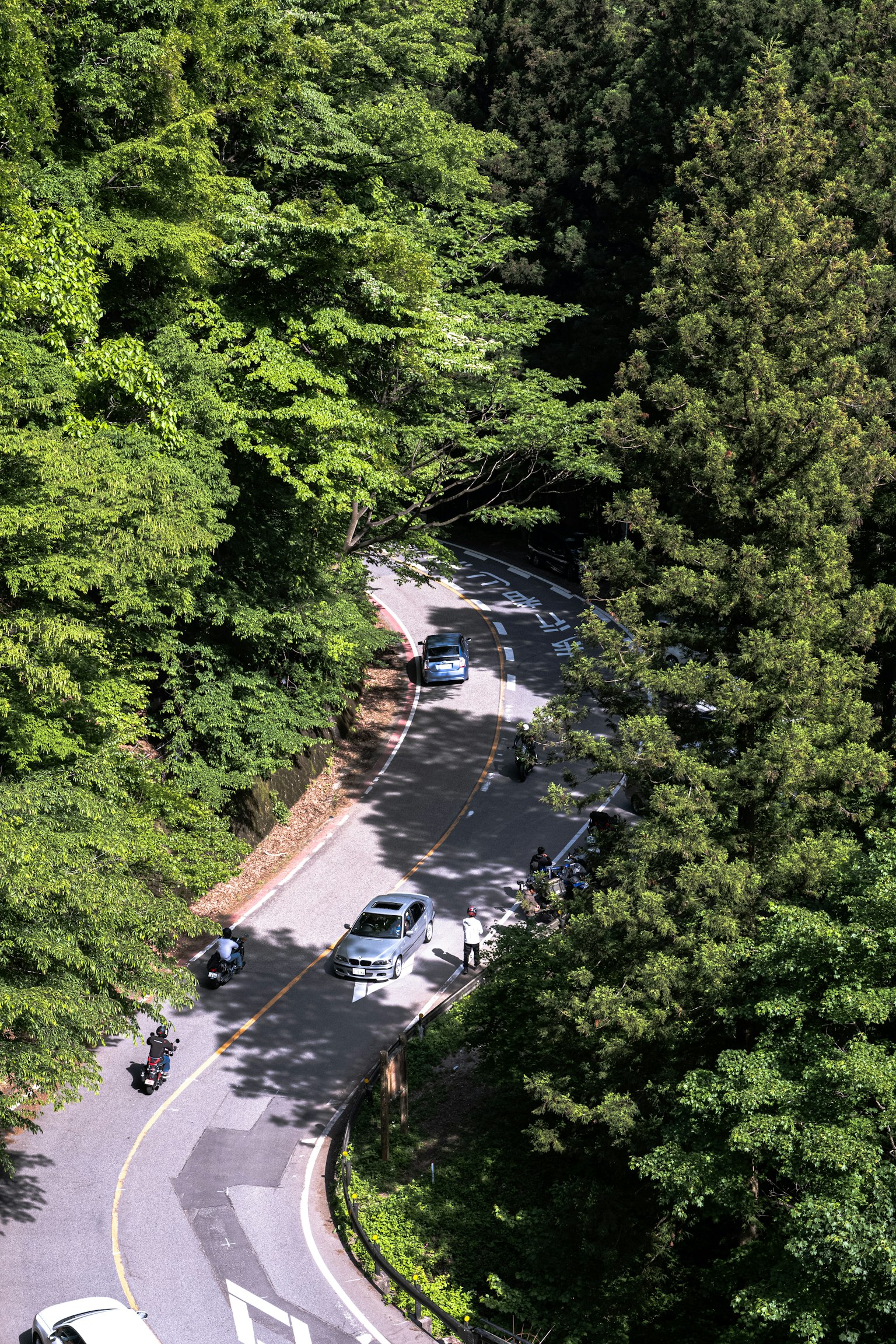 緑豊かな森林に囲まれた曲がりくねった道路と車両