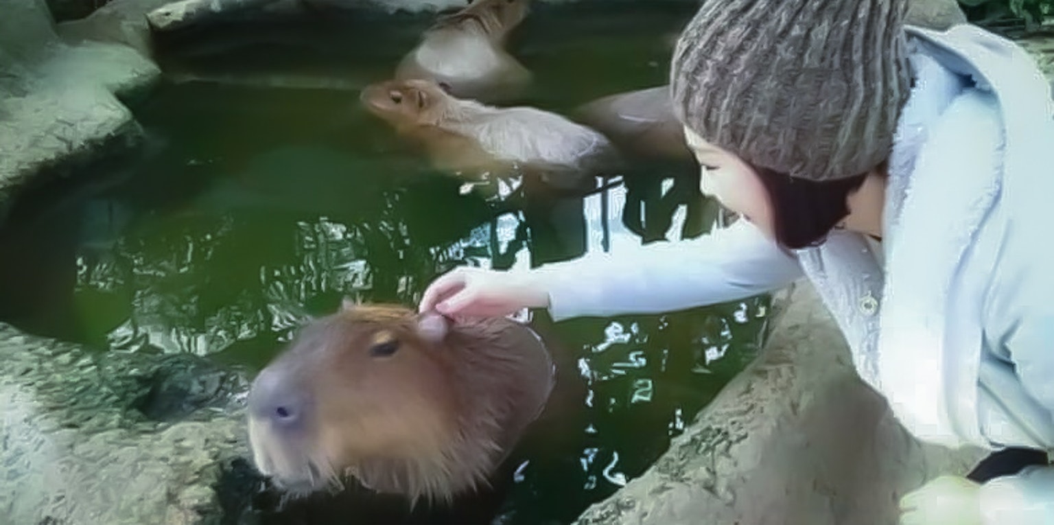 Mujer acariciando un capibara cerca de agua con otros capibaras al fondo