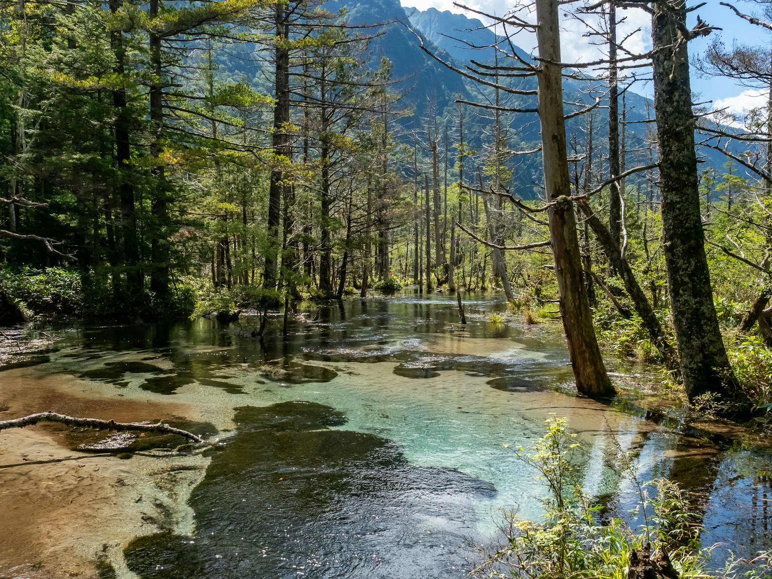 Laghetto d'acqua chiara circondato da alberi verdi e montagne