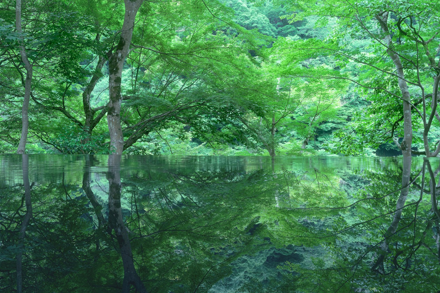 photo-zDkm0WUmnEYoI072Fc2L-image