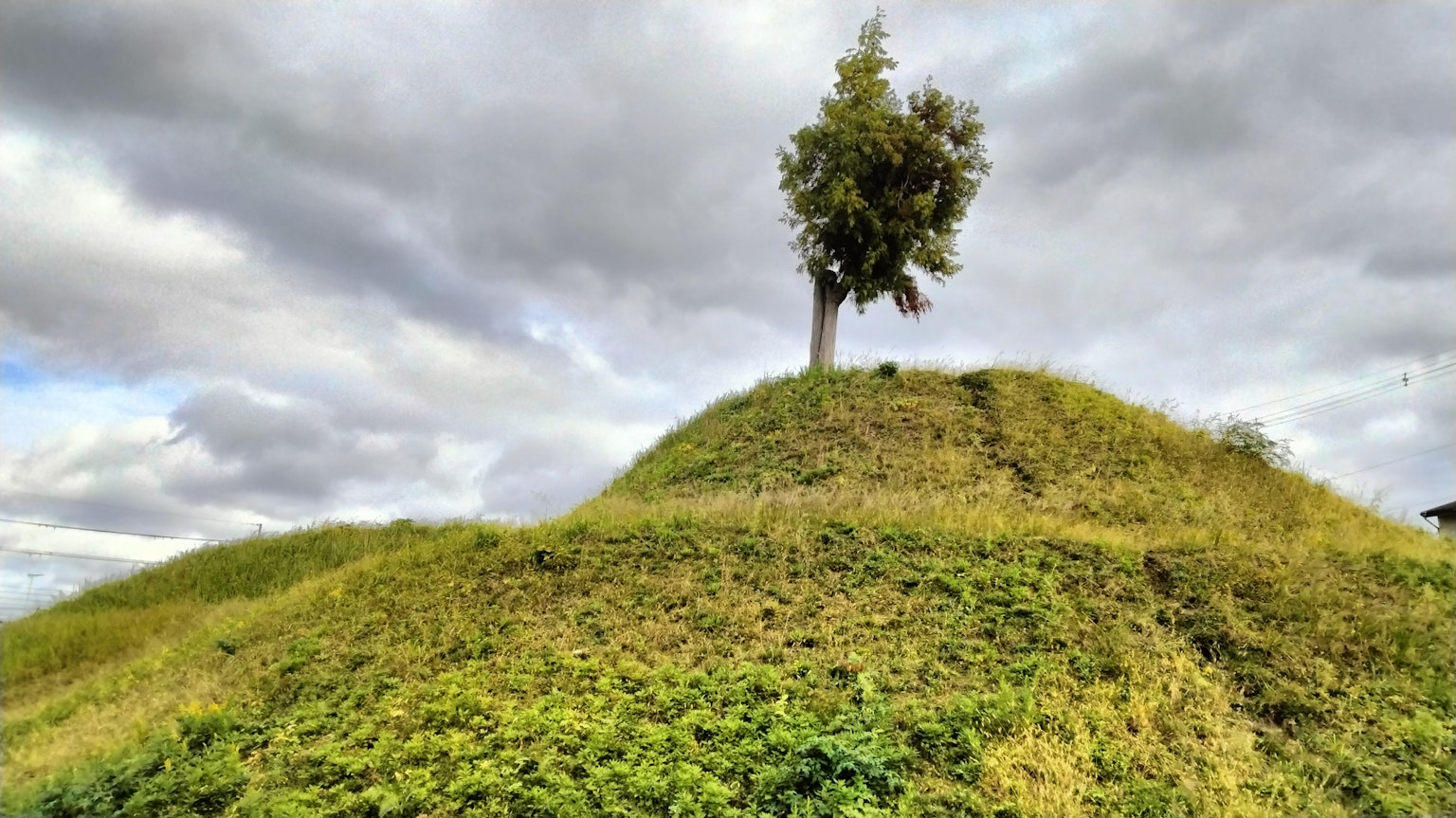 Ein Baum steht auf einem grasbewachsenen Hügel unter einem bewölkten Himmel