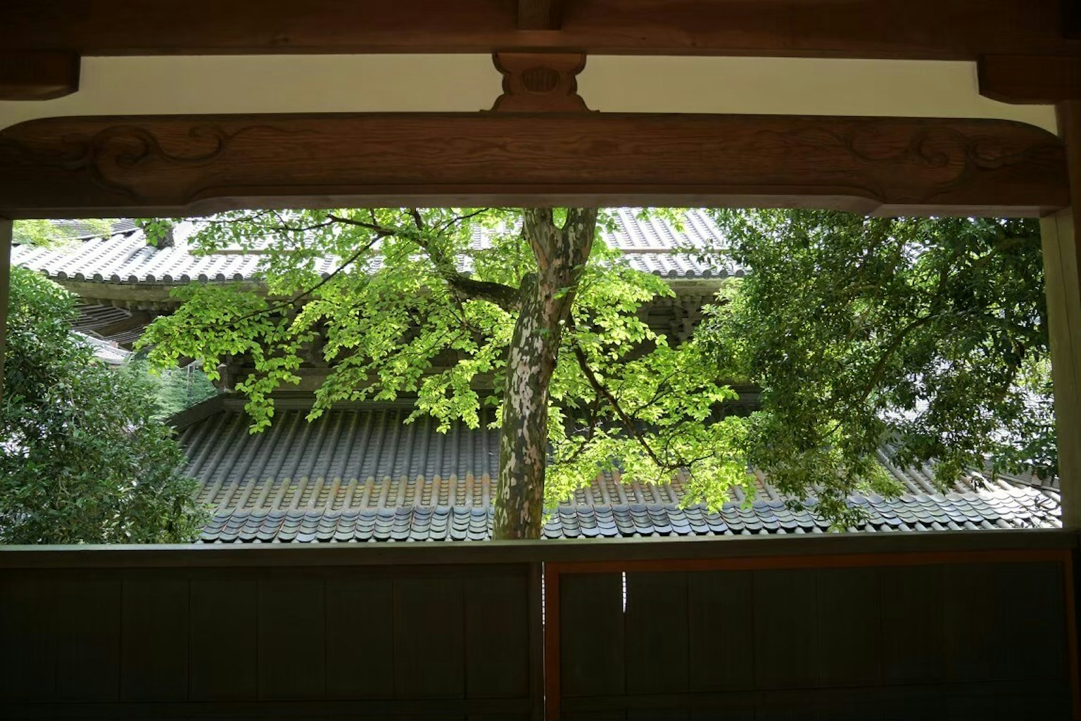 Vista panoramica di un albero verdeggiante e di un tetto tradizionale attraverso una finestra