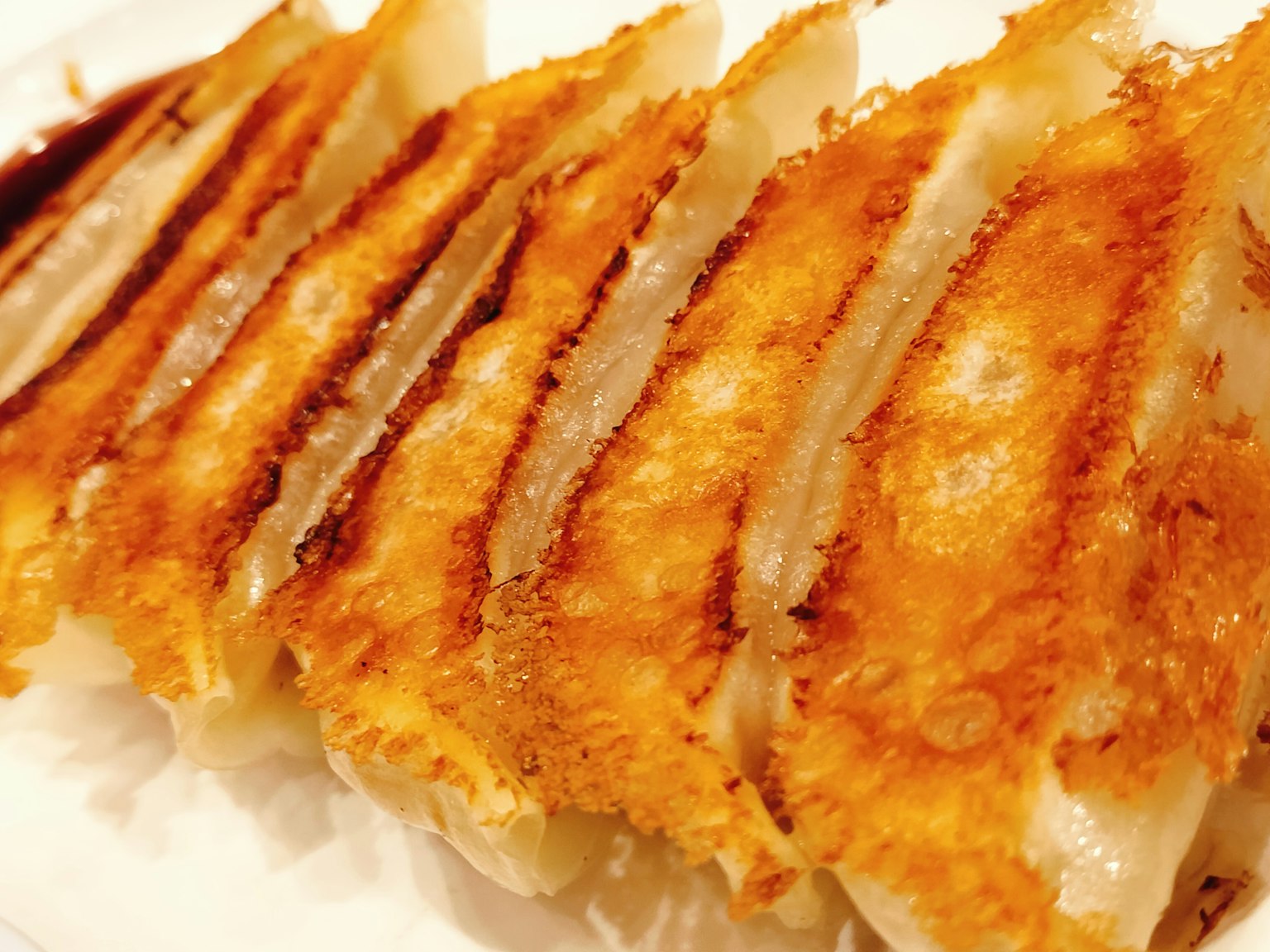 Gyoza fritti dorati disposti su un piatto