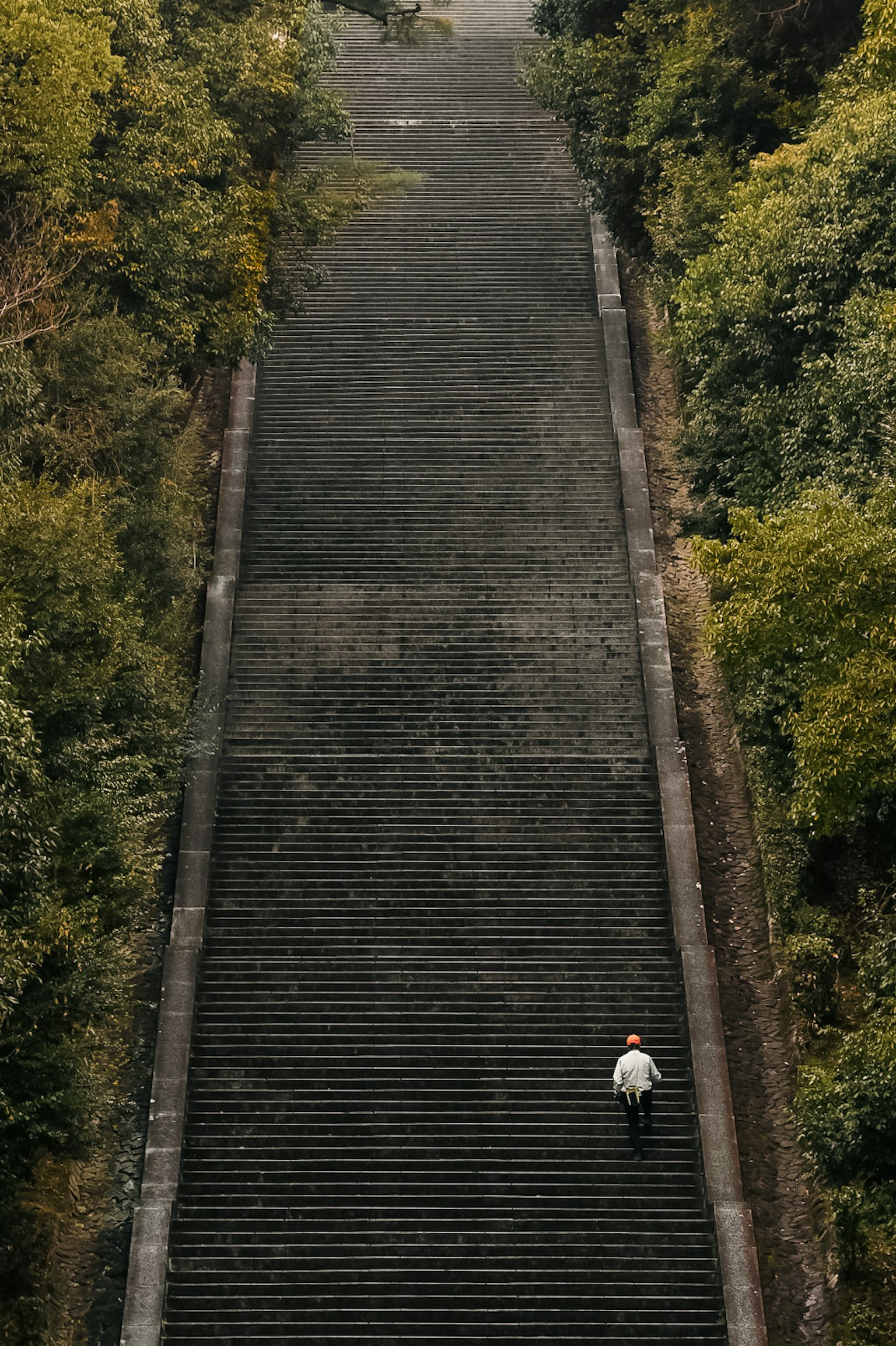 緑に囲まれた長い階段を上る人