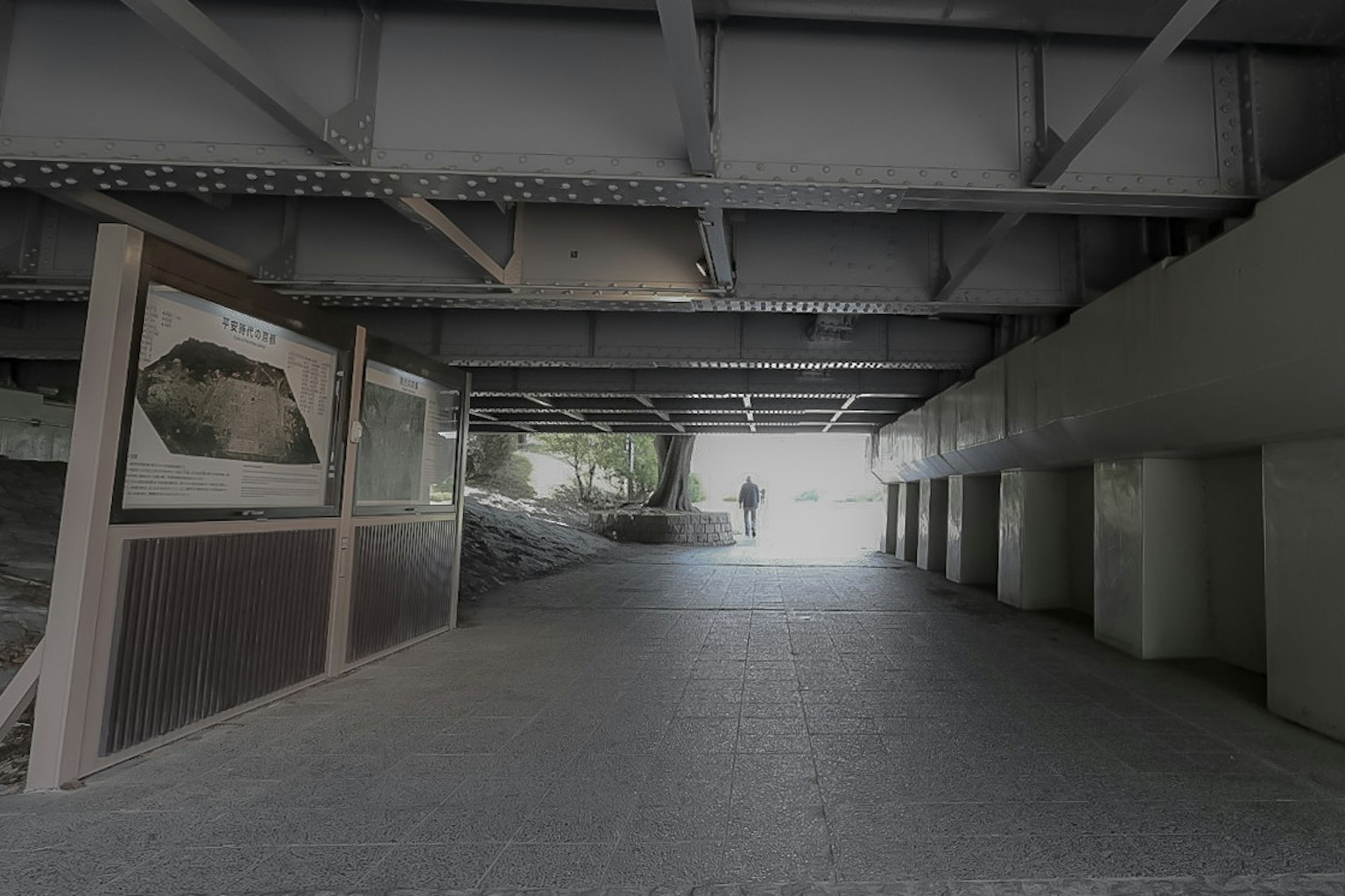 Una persona in piedi in uno spazio sotto un ponte con pannelli informativi