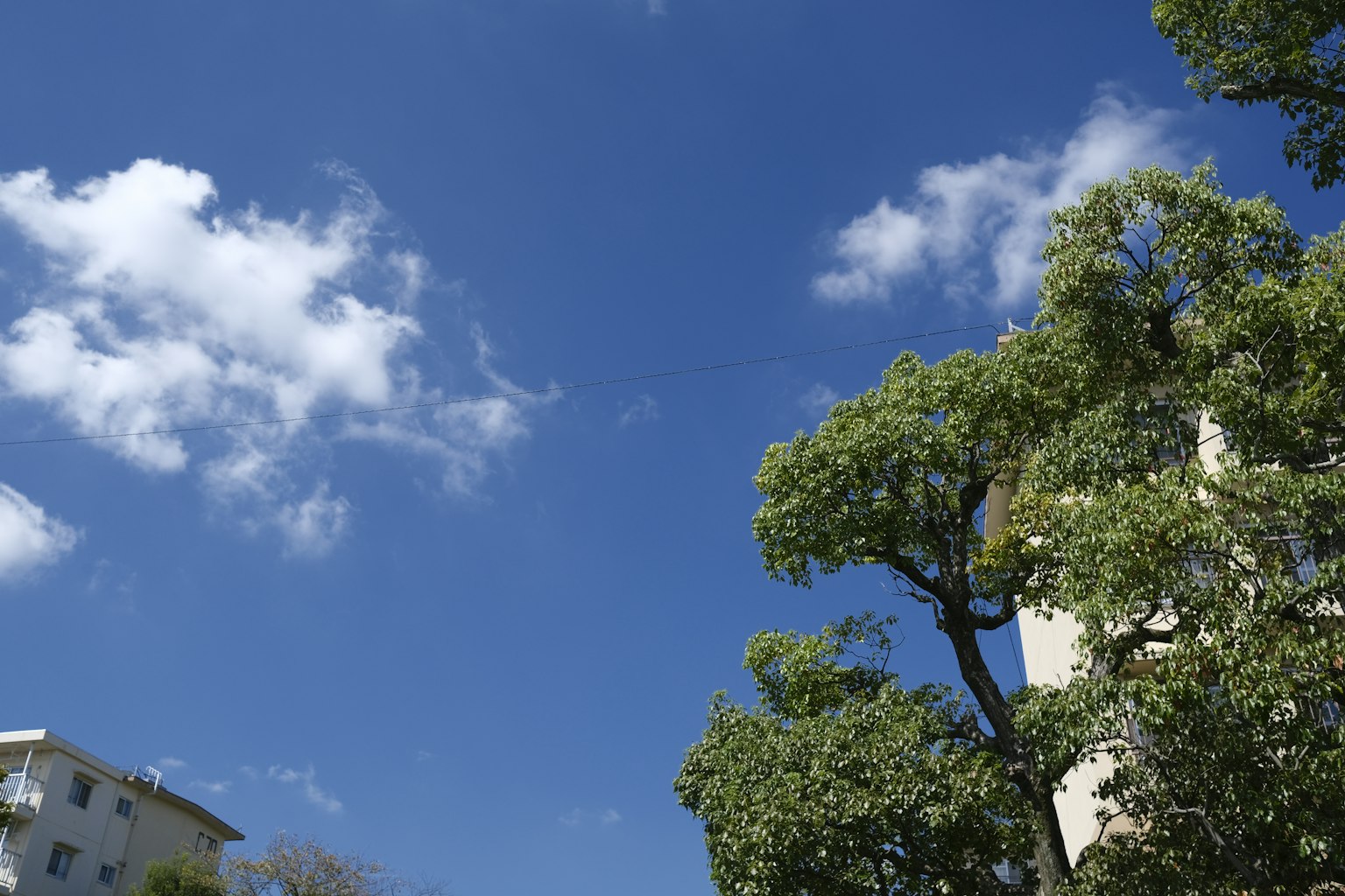 Scène avec un ciel bleu, des nuages blancs et des arbres verts à côté d'un bâtiment