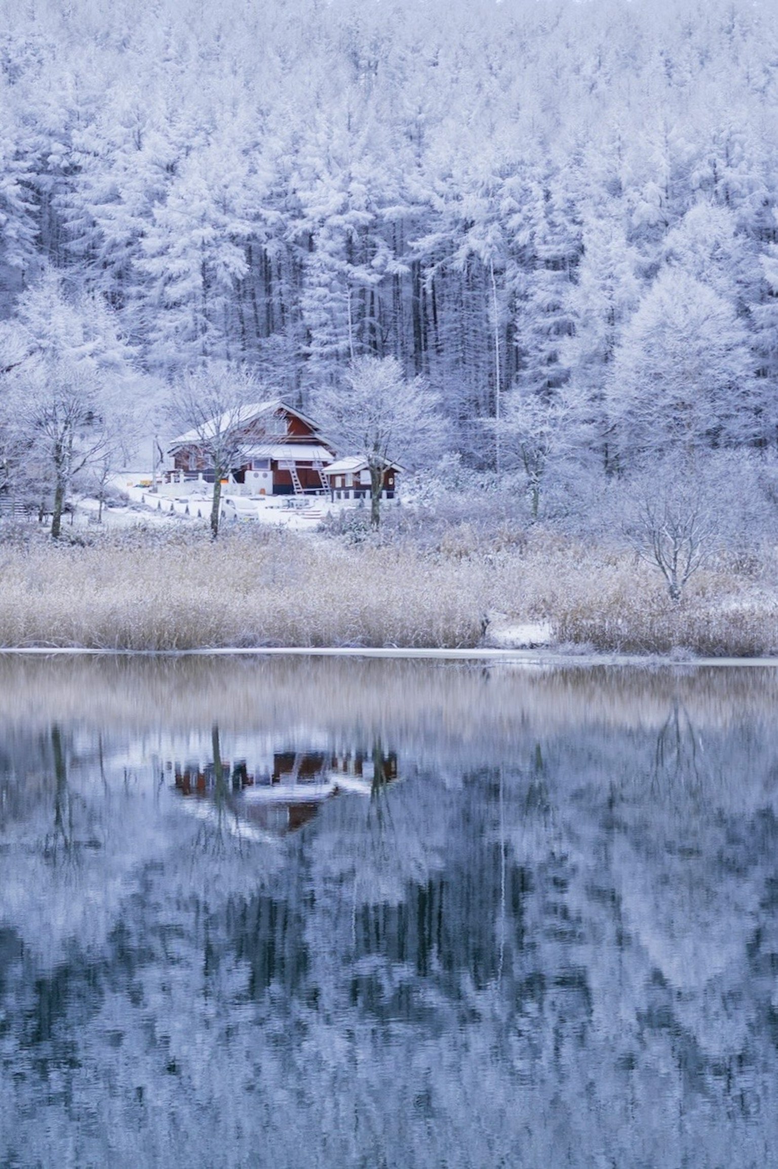 Ein ruhiger See, der ein schneebedecktes Haus und einen Wald im Winter spiegelt