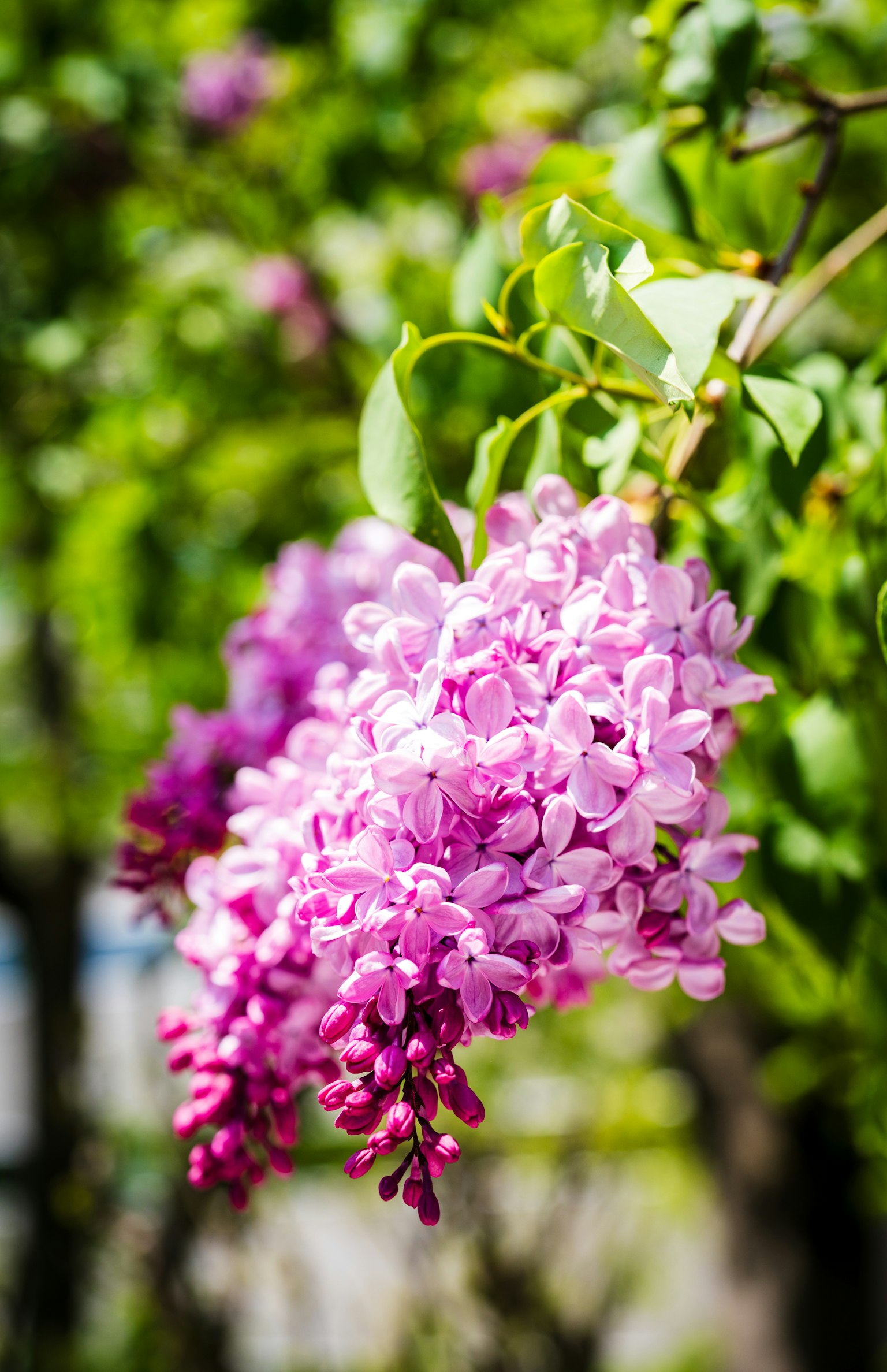 photo-zFWo9rbfmQrWJ5AtLMS9-image