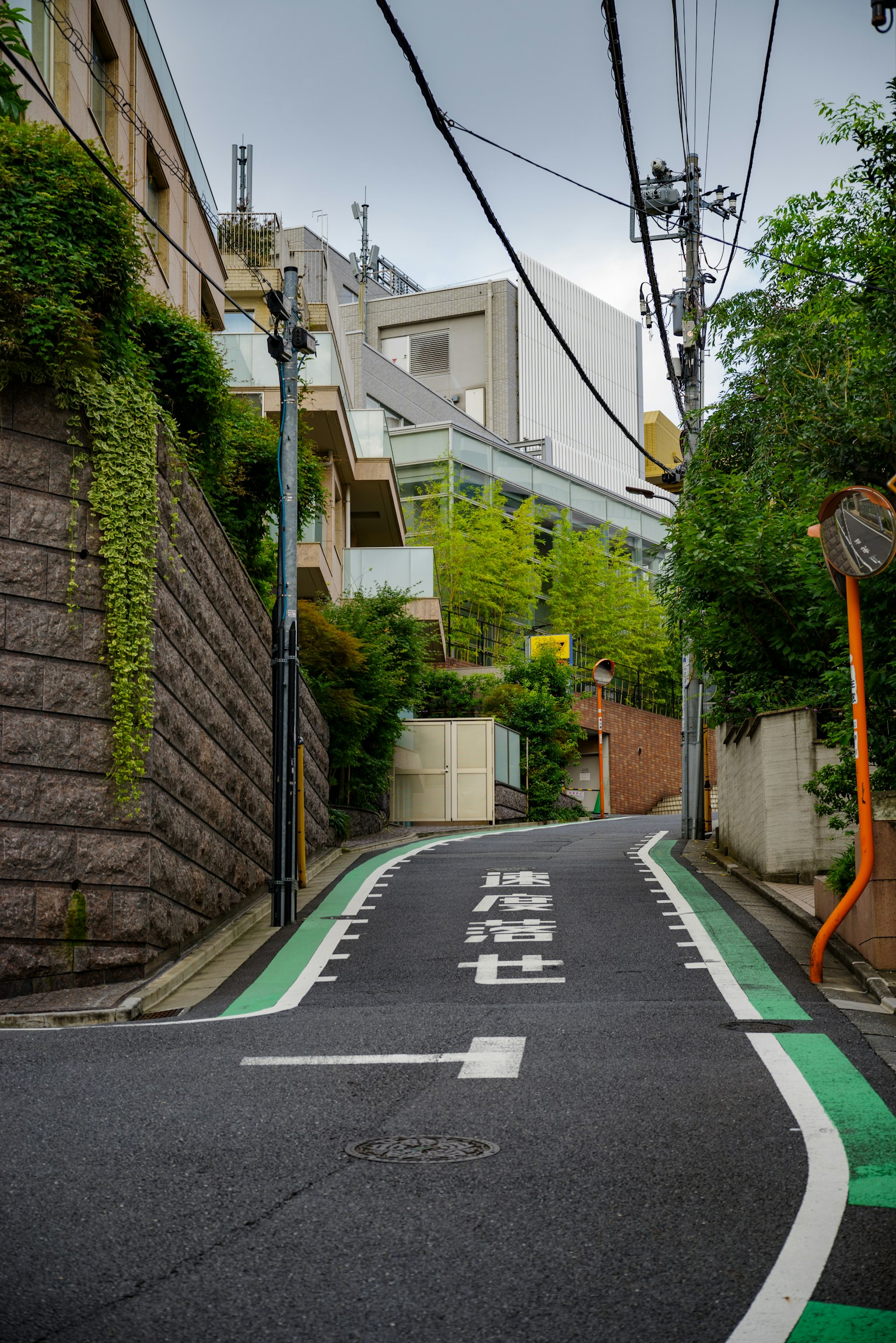 Eine geneigte Straße mit grünen Markierungen und umgebenden Gebäuden mit Grünanlagen