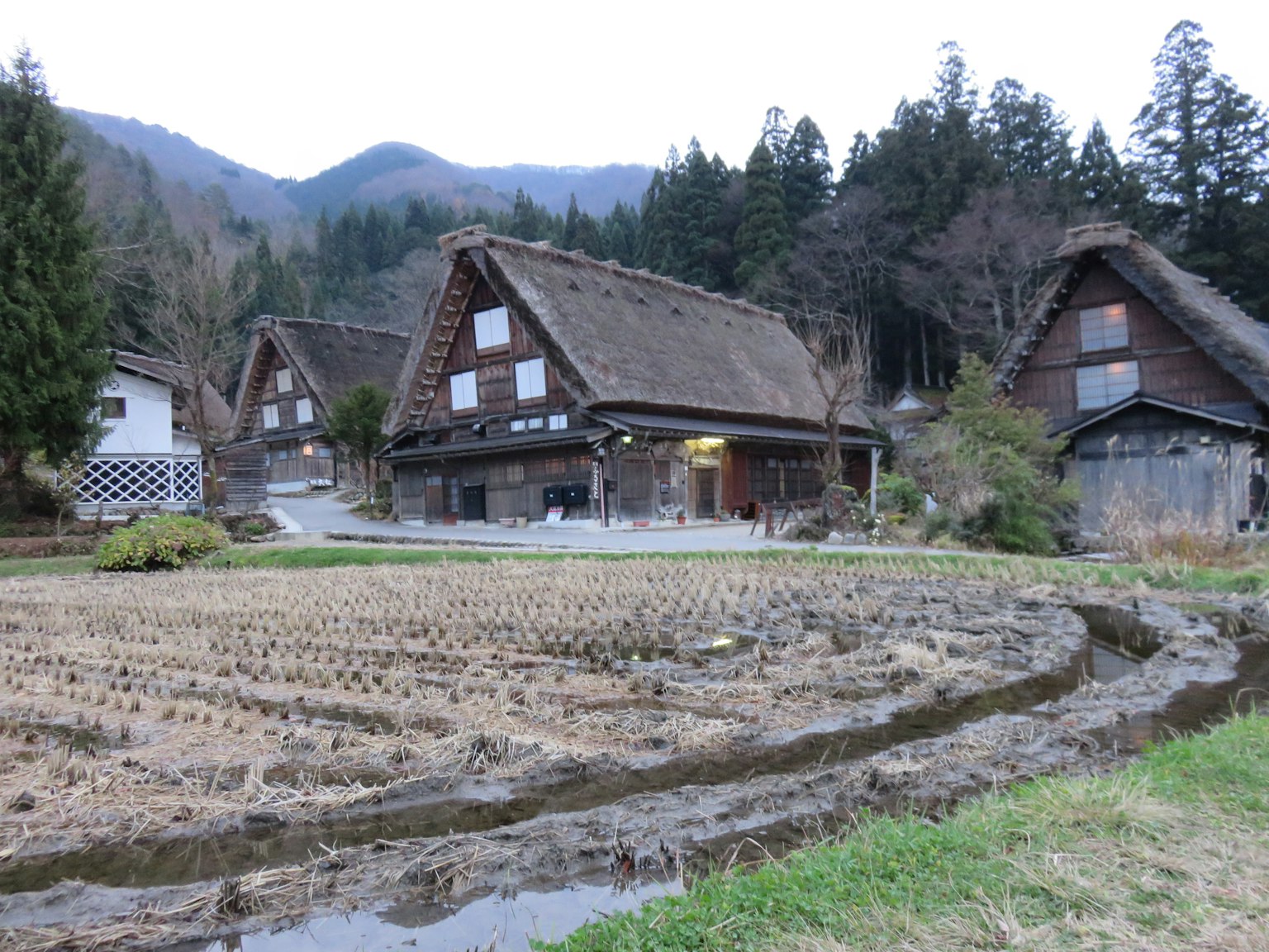 Casas tradicionales con techos de paja y paisaje de arrozales