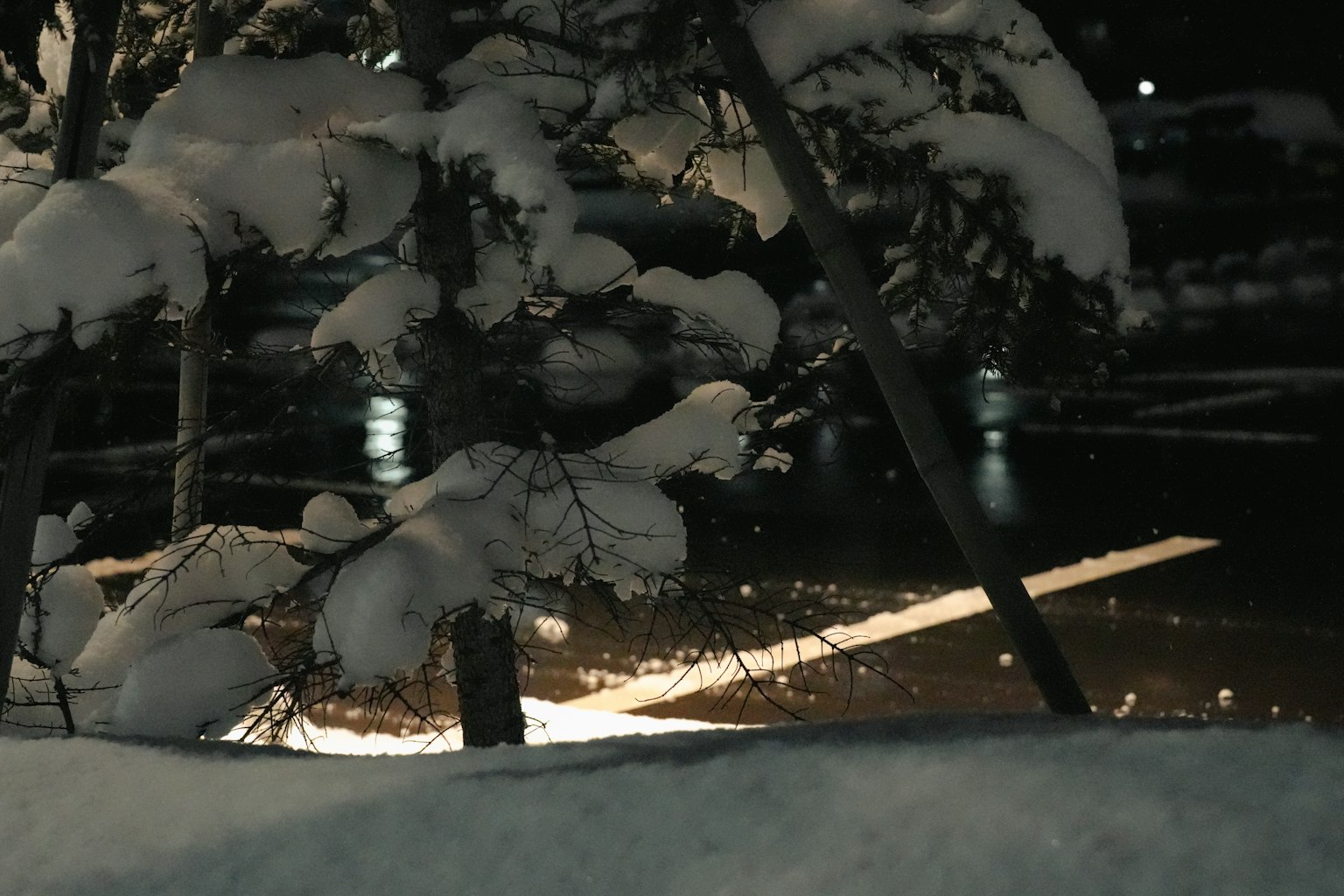 Schneebedeckte Bäume und eine dunkle Straßenszene bei Nacht