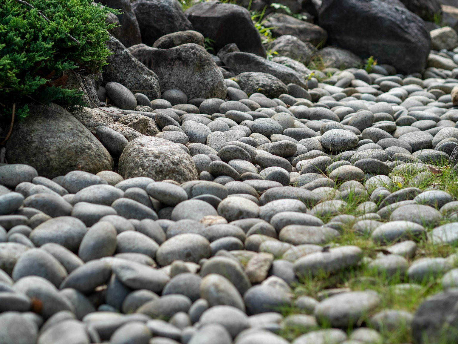 Un camino de piedras lisas bordeado de hierba verde y rocas