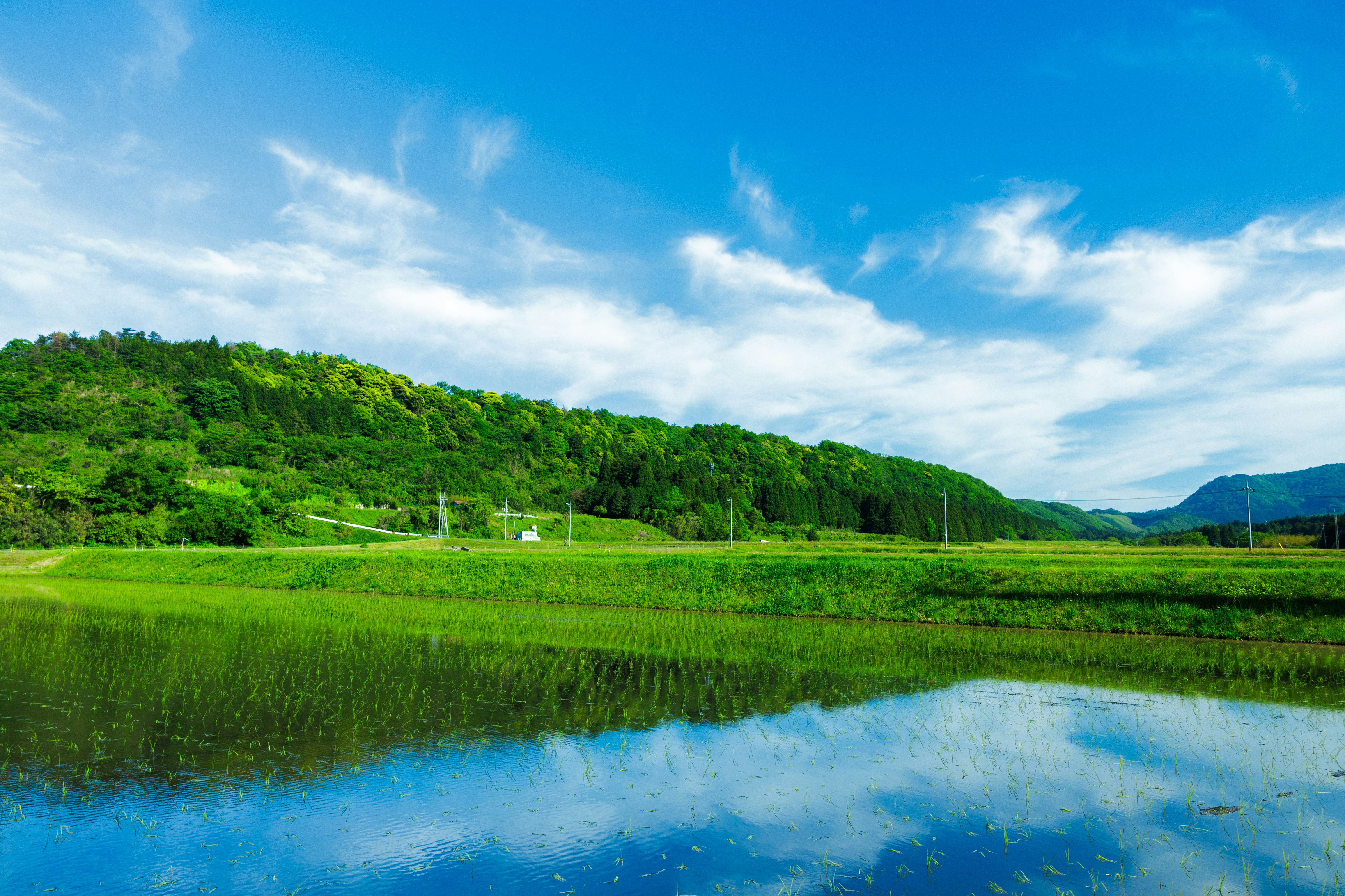 池に映る緑の丘と青空