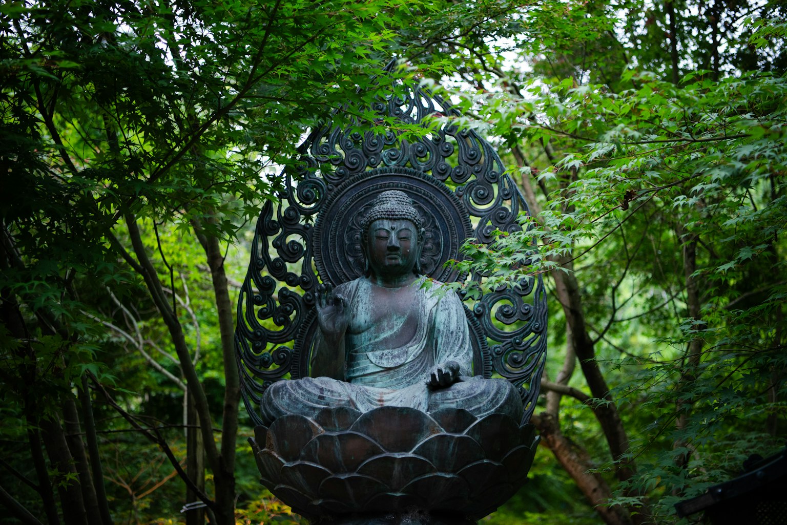 Estatua de Buda rodeada de vegetación exuberante y un fondo decorativo