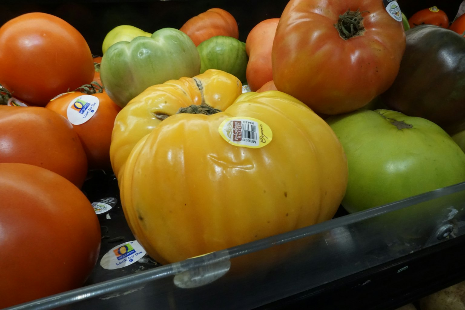 Un tomate amarillo vibrante destaca entre varios tomates de colores