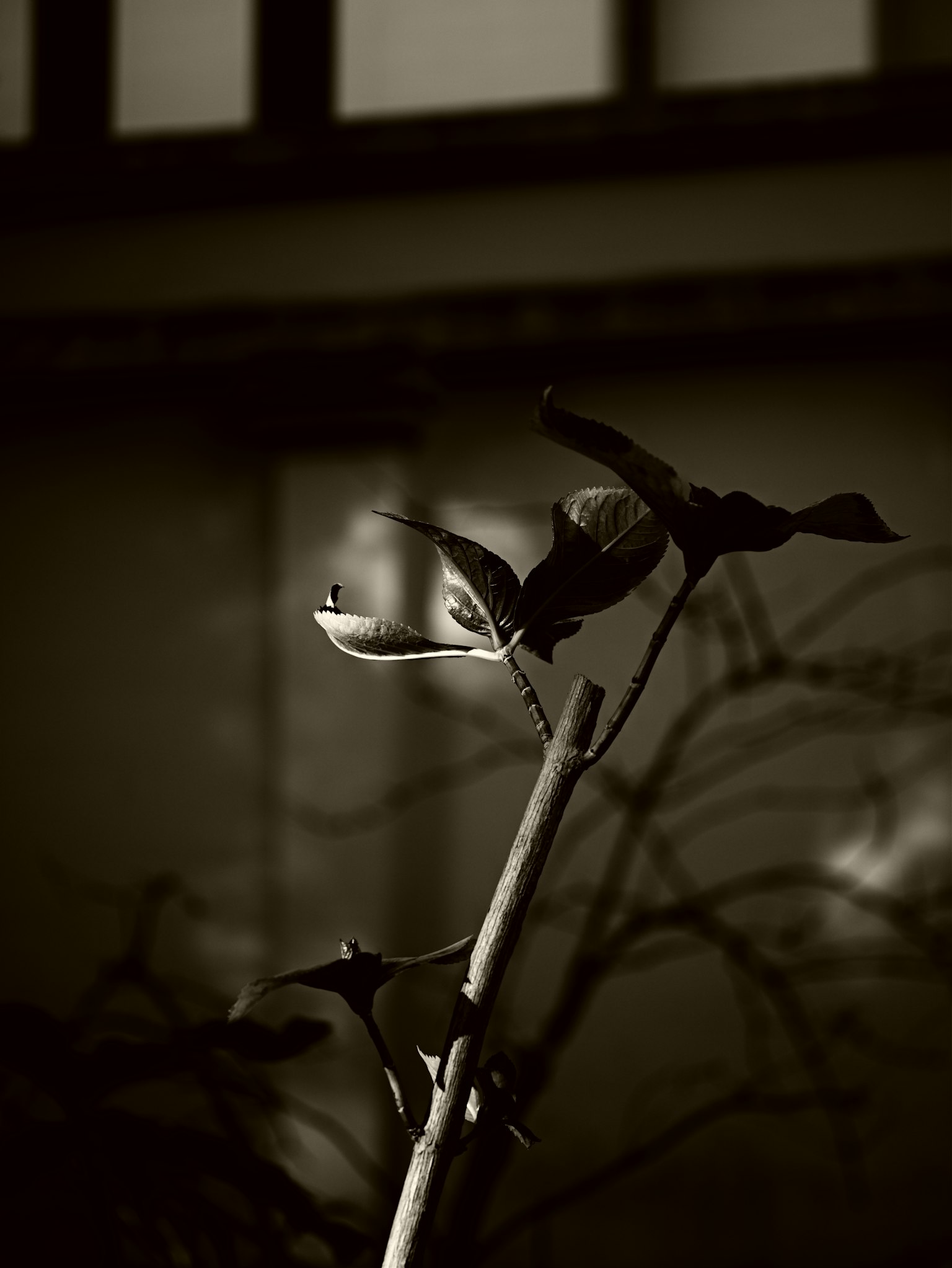 photo-zH4Z4MdfwO1PGPGNoKkw-image