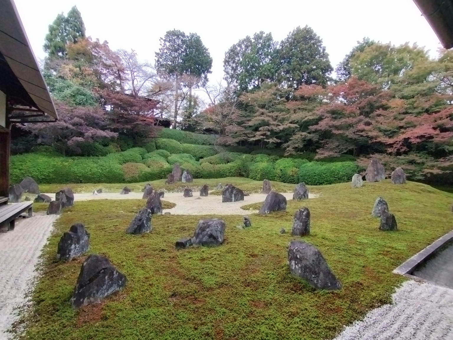 Giardino pittoresco coperto di muschio con pietre disposte e vegetazione lussureggiante