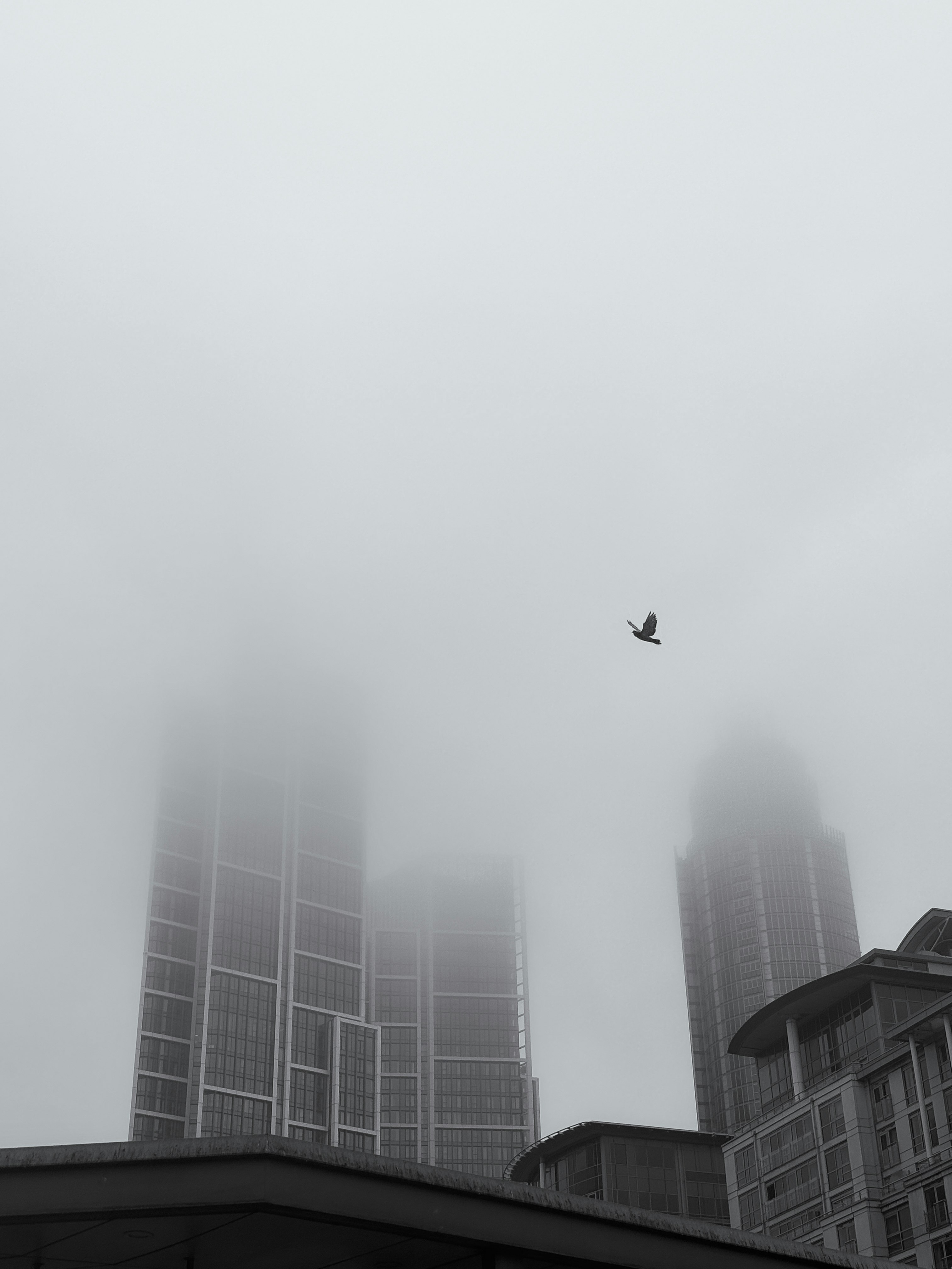 霧の中にそびえる高層ビル群と飛行機雲のある都市の空