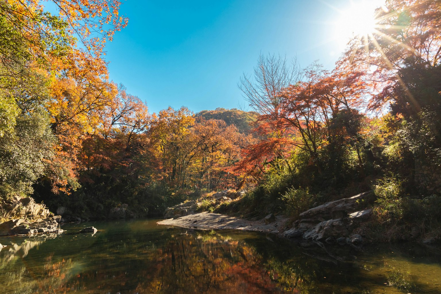 Fiume tranquillo che riflette il fogliame autunnale e gli alberi sotto un cielo luminoso