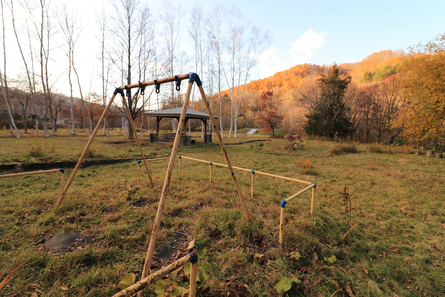 Scène de parc d'automne avec une balançoire vide