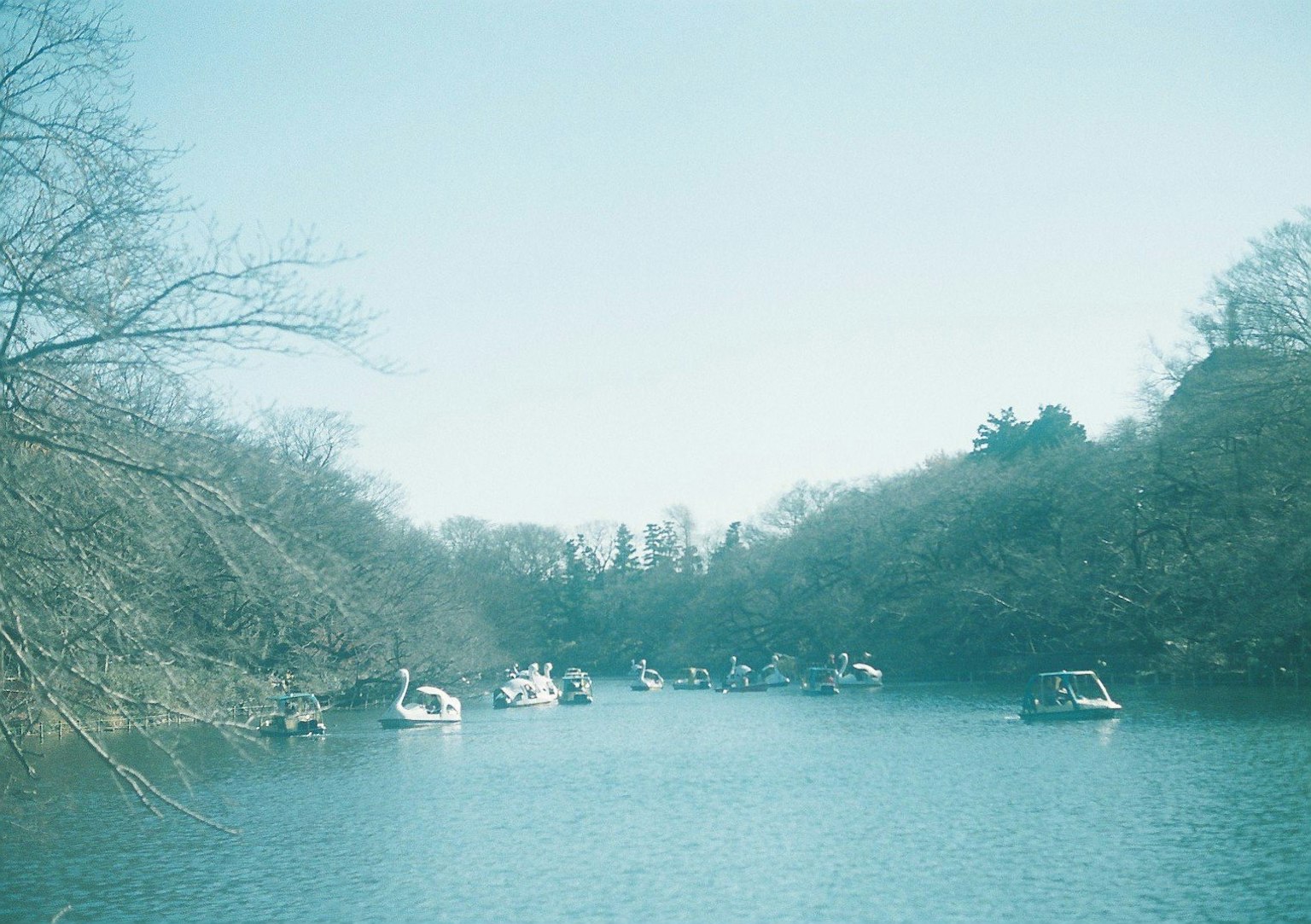 Escena serena de un río con cisnes y botes