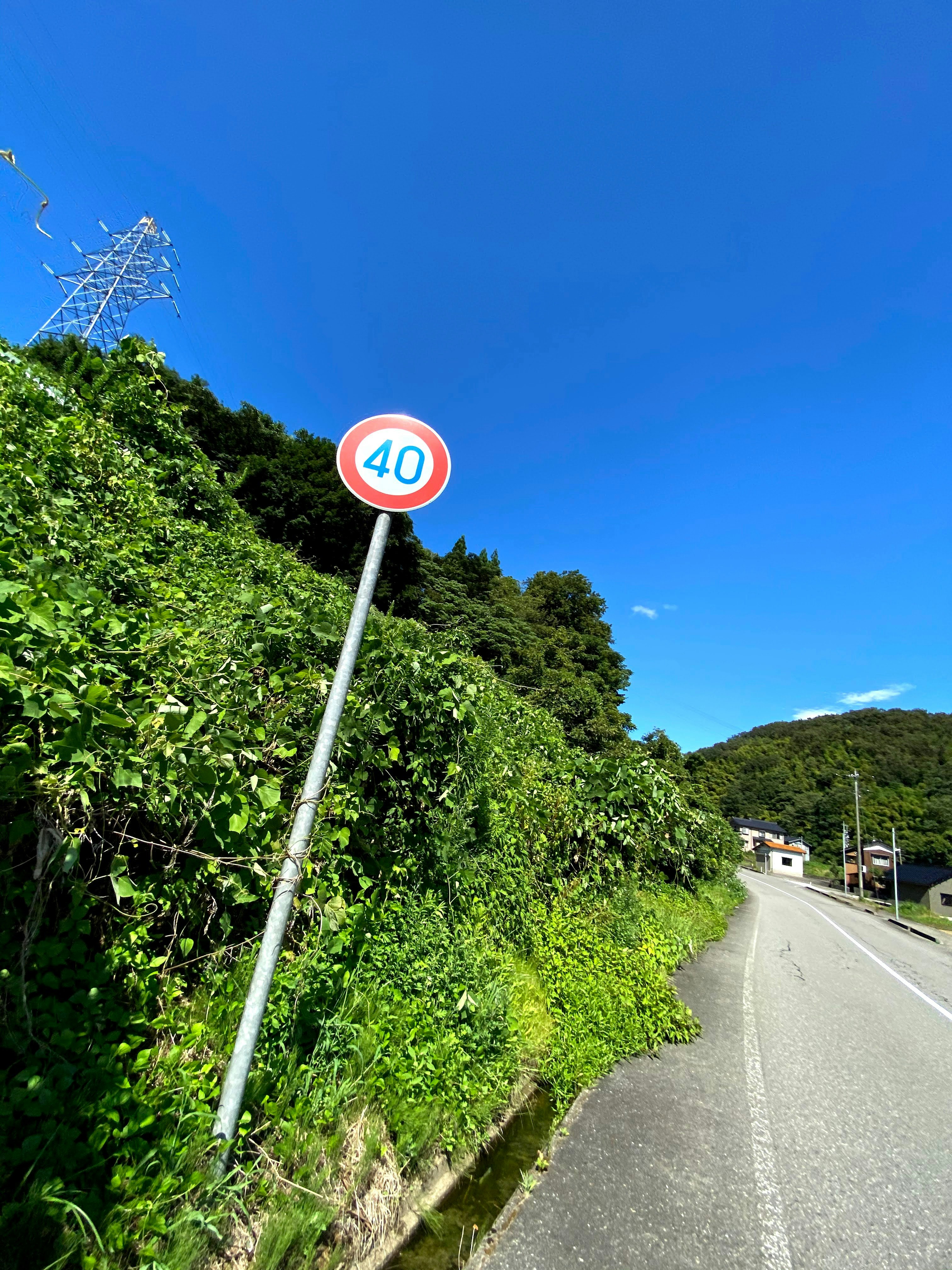 山道の緑の法面と道路脇の速度制限標識「40」