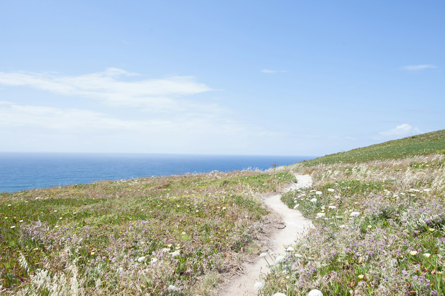 Sendero que atraviesa un paisaje de hierba con el mar azul de fondo
