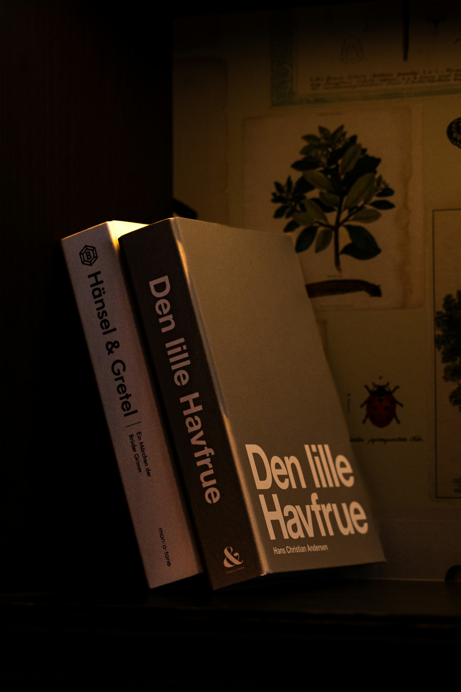 Gambar dua buku di latar belakang gelap dengan satu berjudul 'Den lille Havfrue' dan yang lainnya 'Havfrue'
