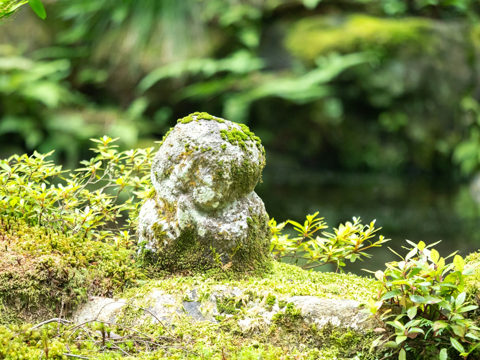 Una pequeña escultura de piedra rodeada de plantas verdes en un jardín tranquilo