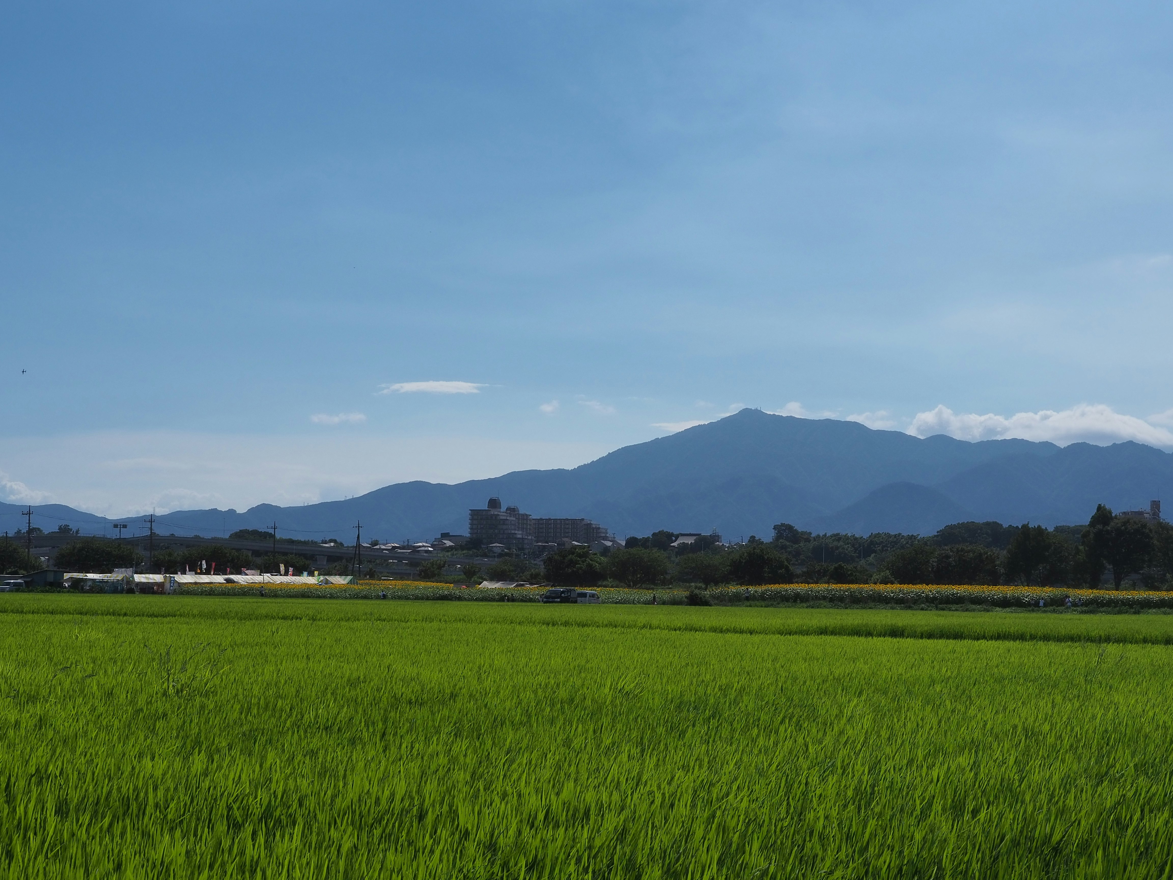 campi di campagna e montagne lontane