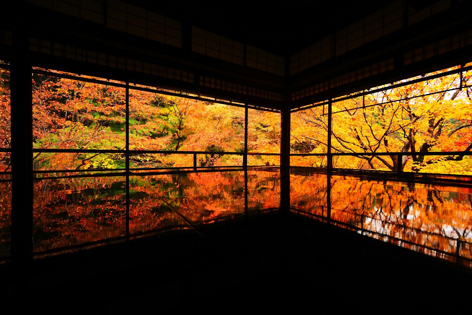 Beautiful view of autumn foliage reflected in windows