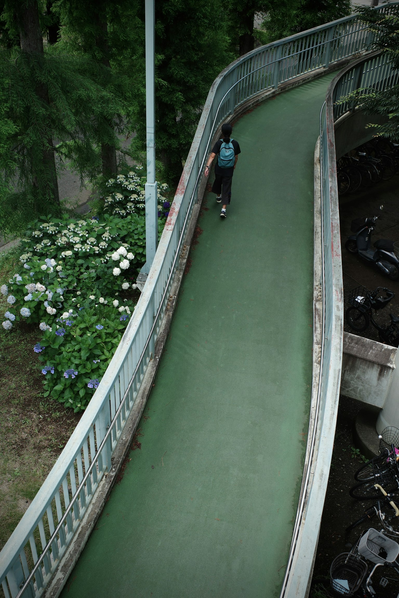 A person walking on a green paved walkway surrounded by flowers