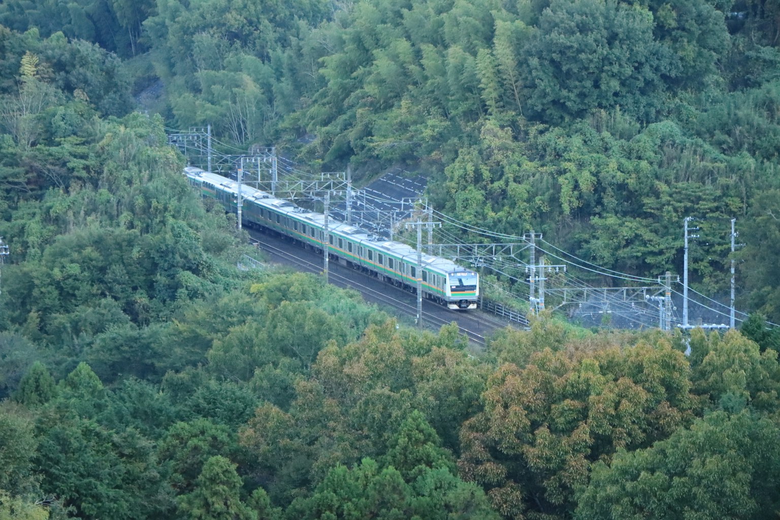 Vista aerea di un treno che corre attraverso foreste verdi
