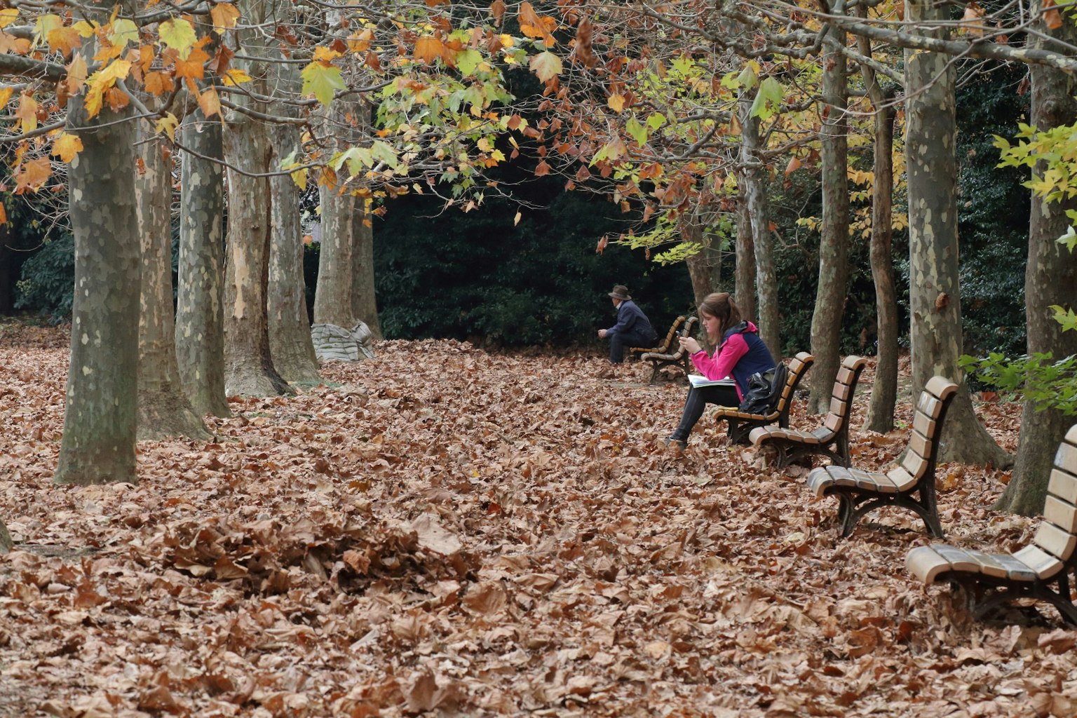 Des personnes assises sur des bancs dans un parc d'automne avec un tapis de feuilles tombées
