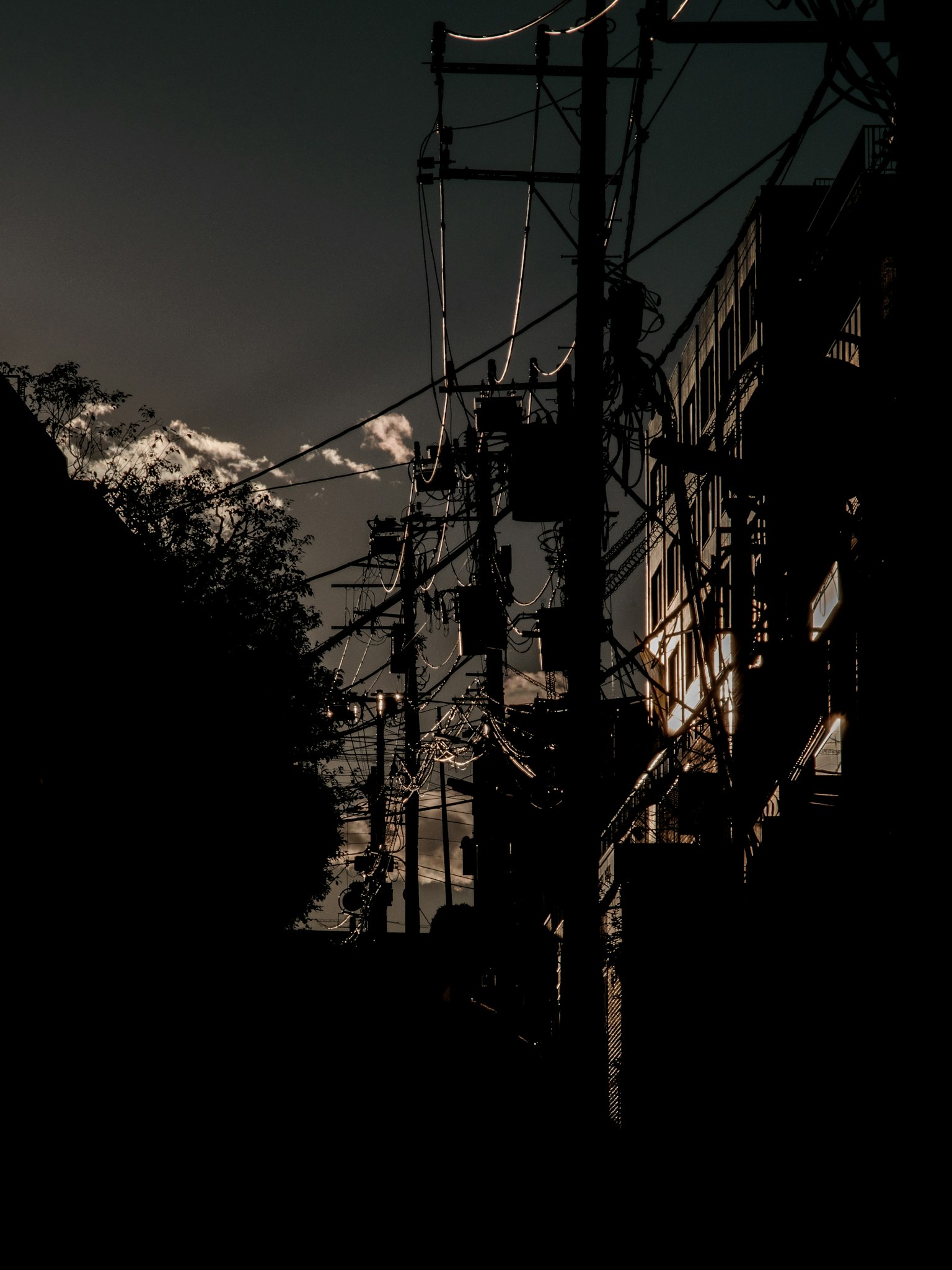 Silhouette of cityscape with power poles at dusk