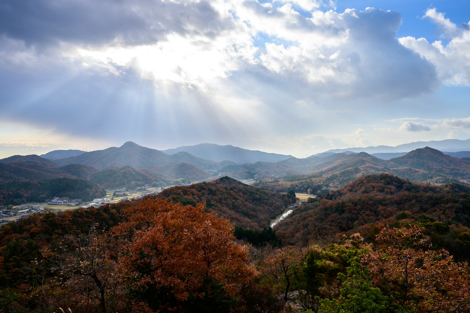 秋季树叶和阳光下的山脉风景