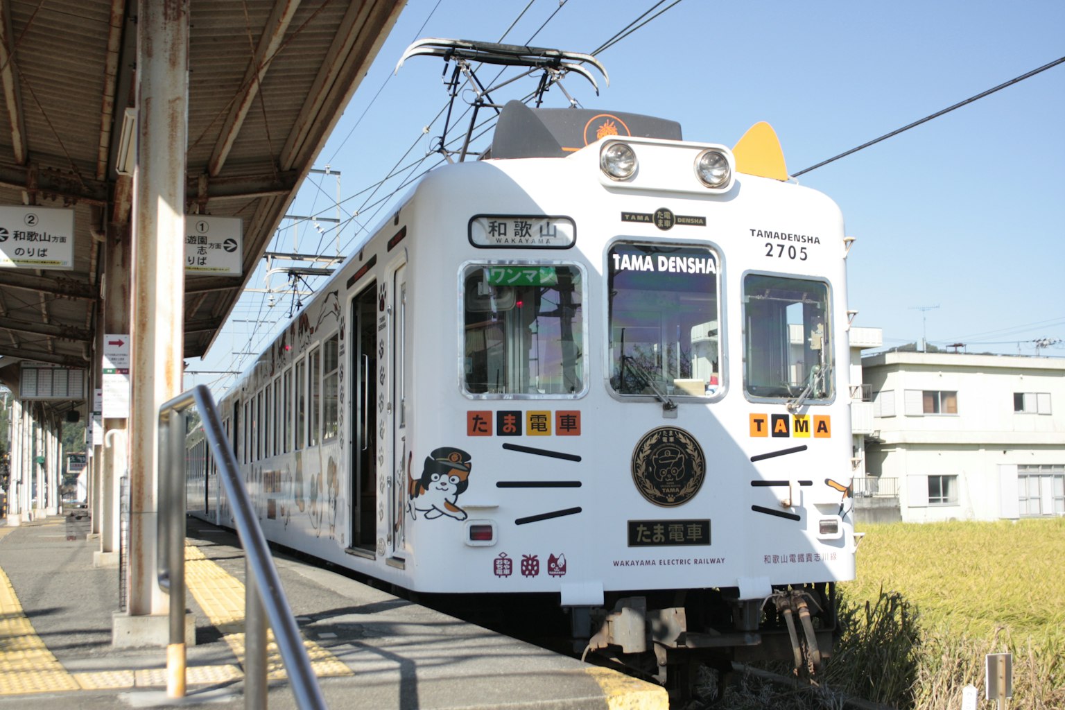 Train coloré avec un design unique garé à la gare