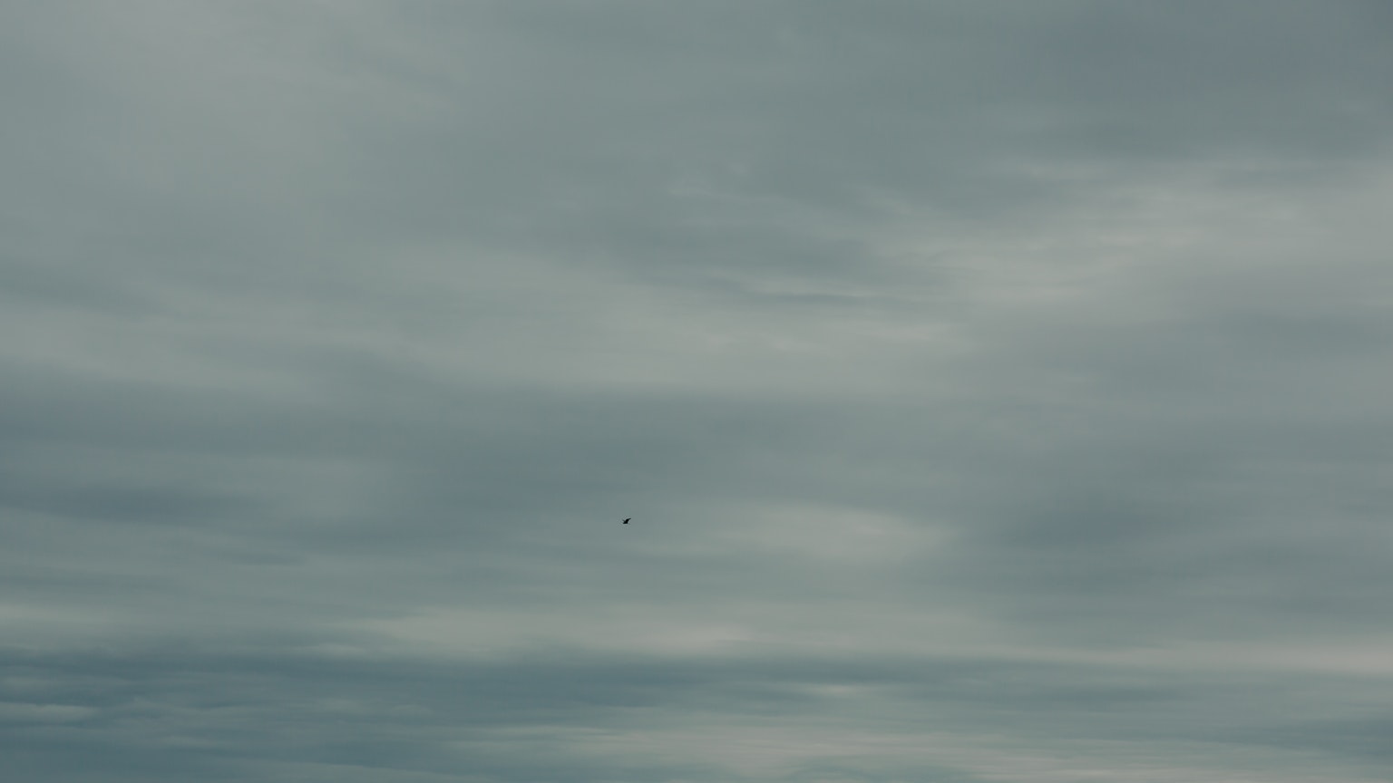 Motivi nuvolosi in un cielo blu-grigio