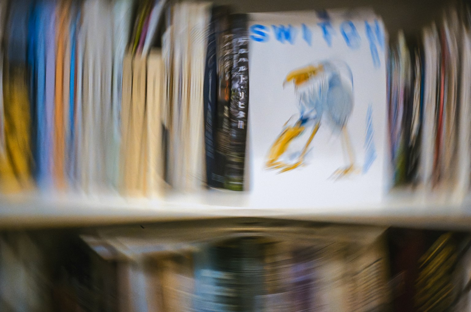Blurred books with a cover featuring a blue bird