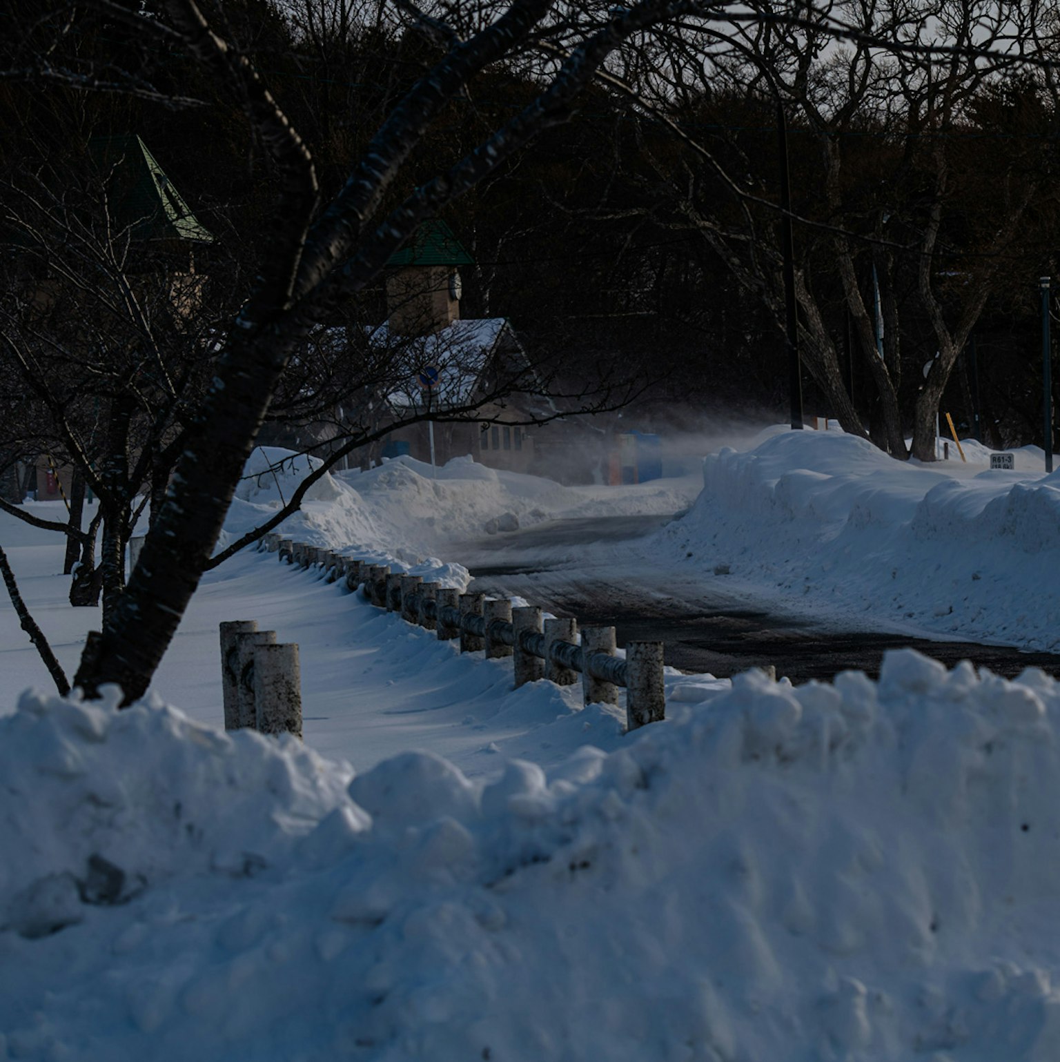 被雪覆盖的道路和树木以及远处的建筑