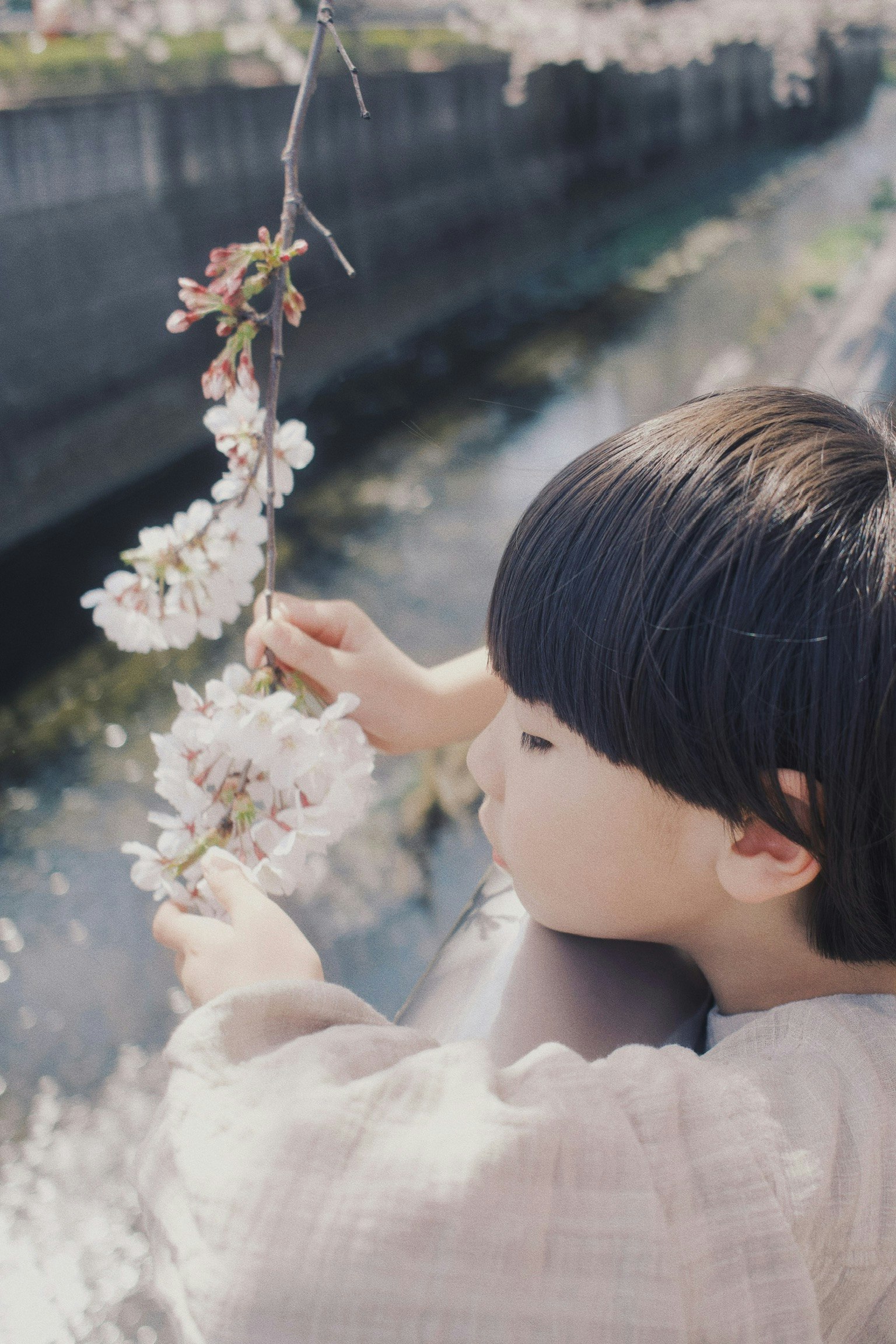 Un bambino che tiene dei fiori di ciliegio vicino a un fiume
