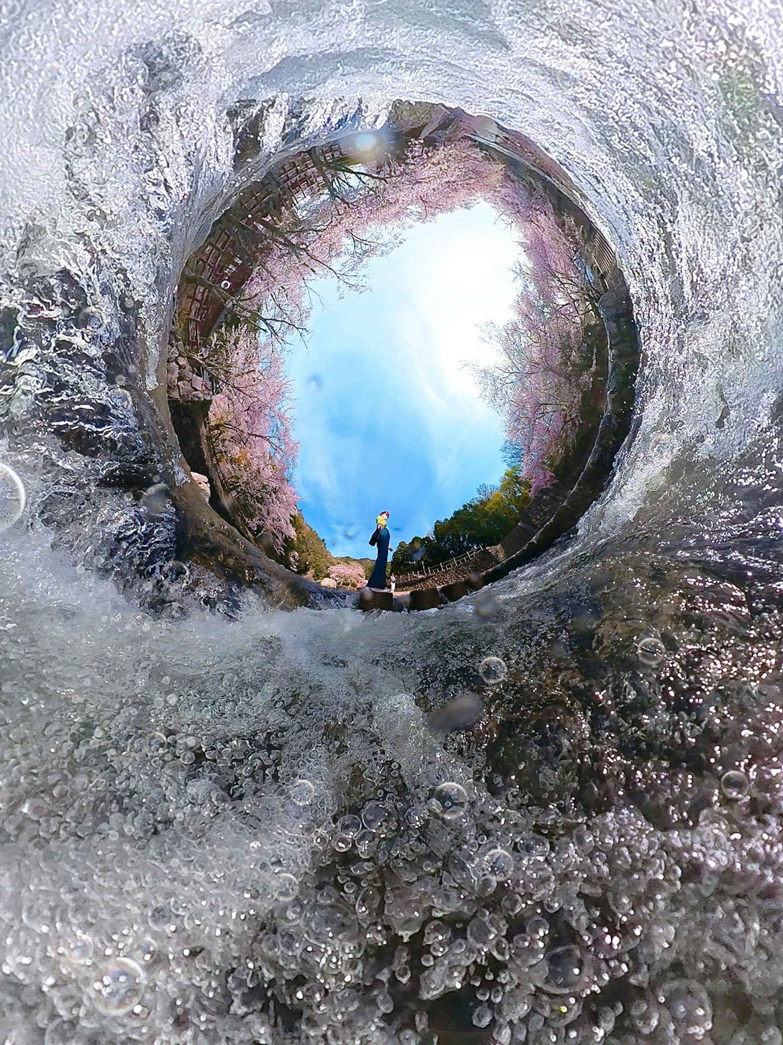 Beautiful cherry blossom view and blue sky seen from underwater