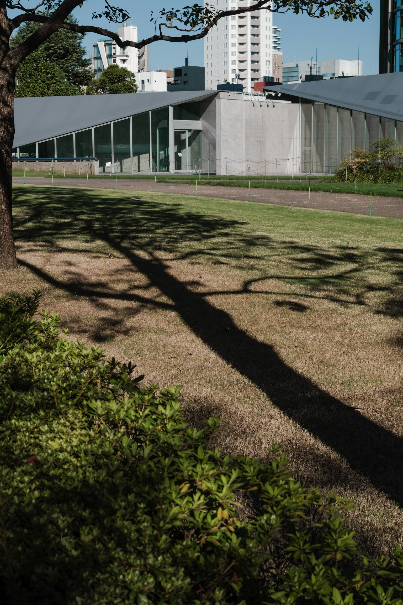 Edificio moderno con paisaje de césped sombra de árbol proyectada