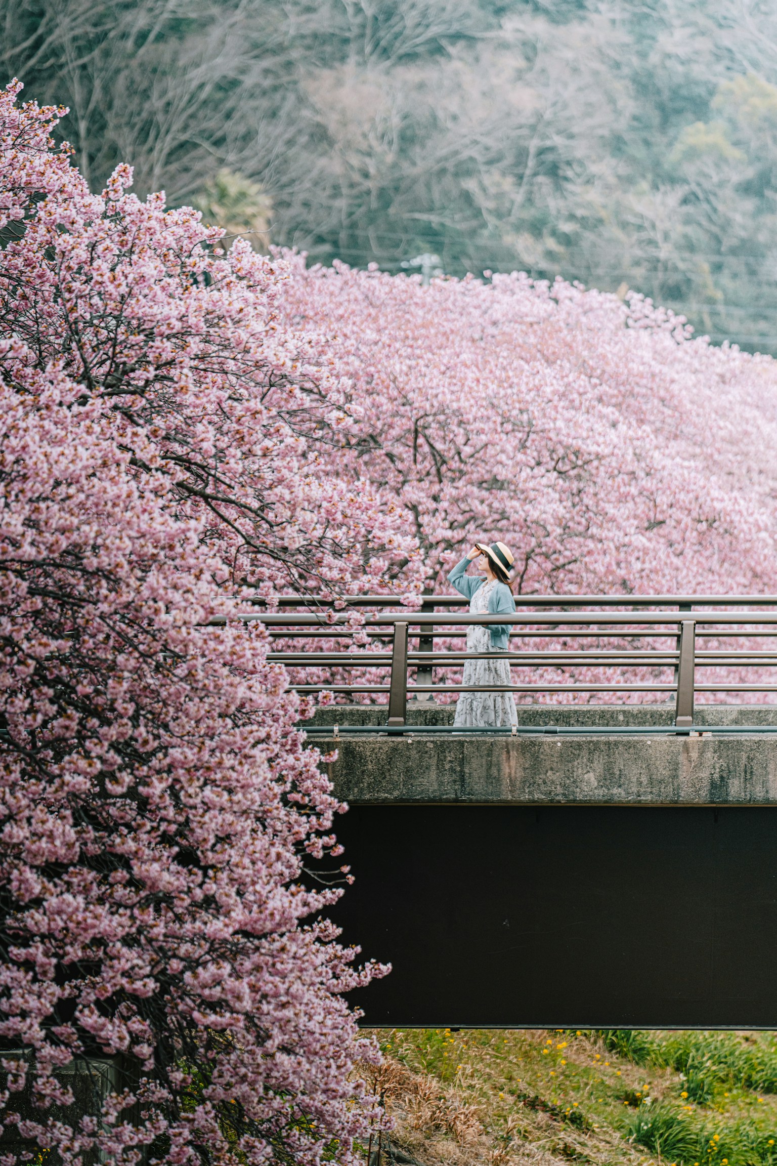 photo-zRaDRkQuErroRMkPtpnu-image