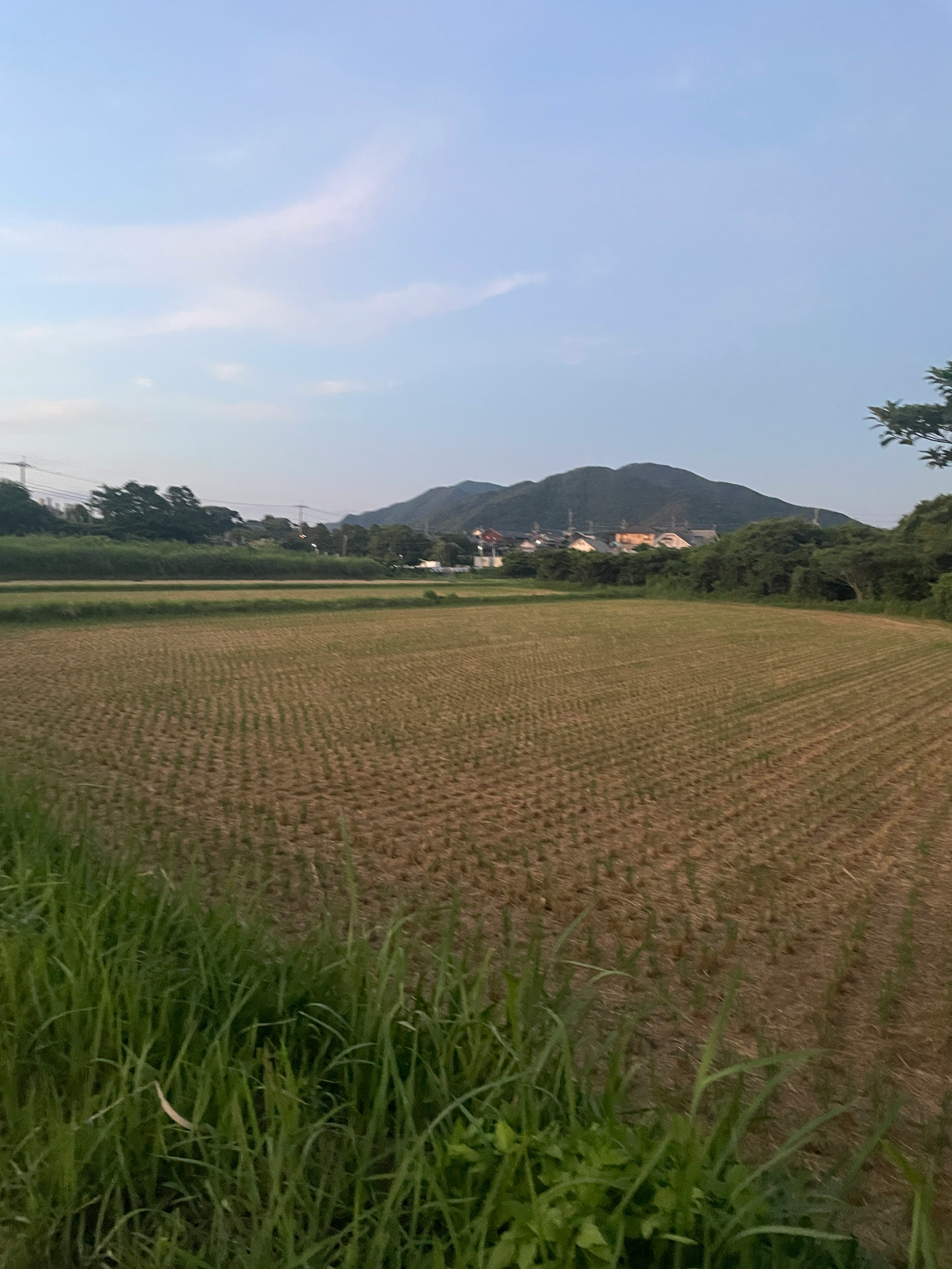 田畑の広がる田園風景と遠くの山並み