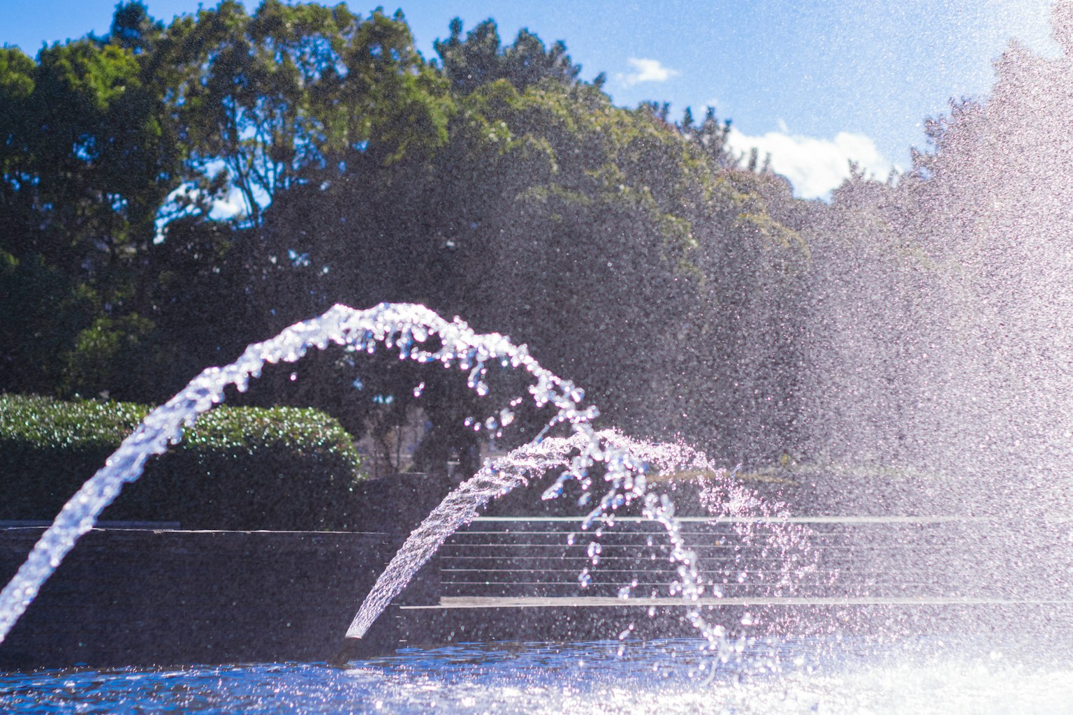 A park fountain spraying water with a green background