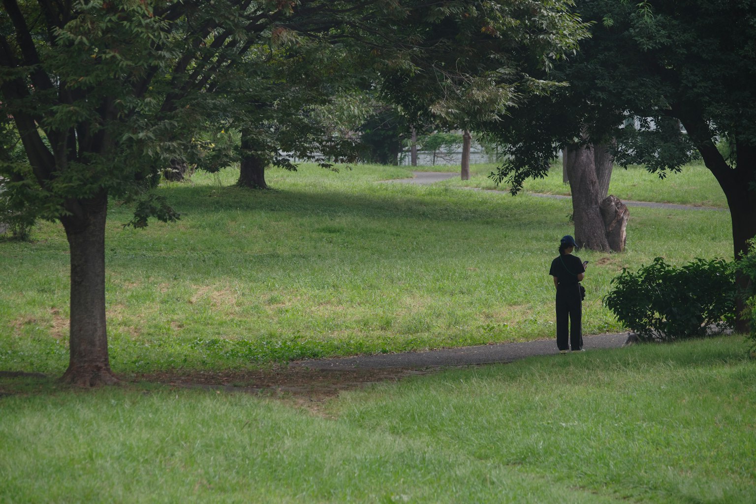 Una persona in piedi in un parco verde con alberi sullo sfondo