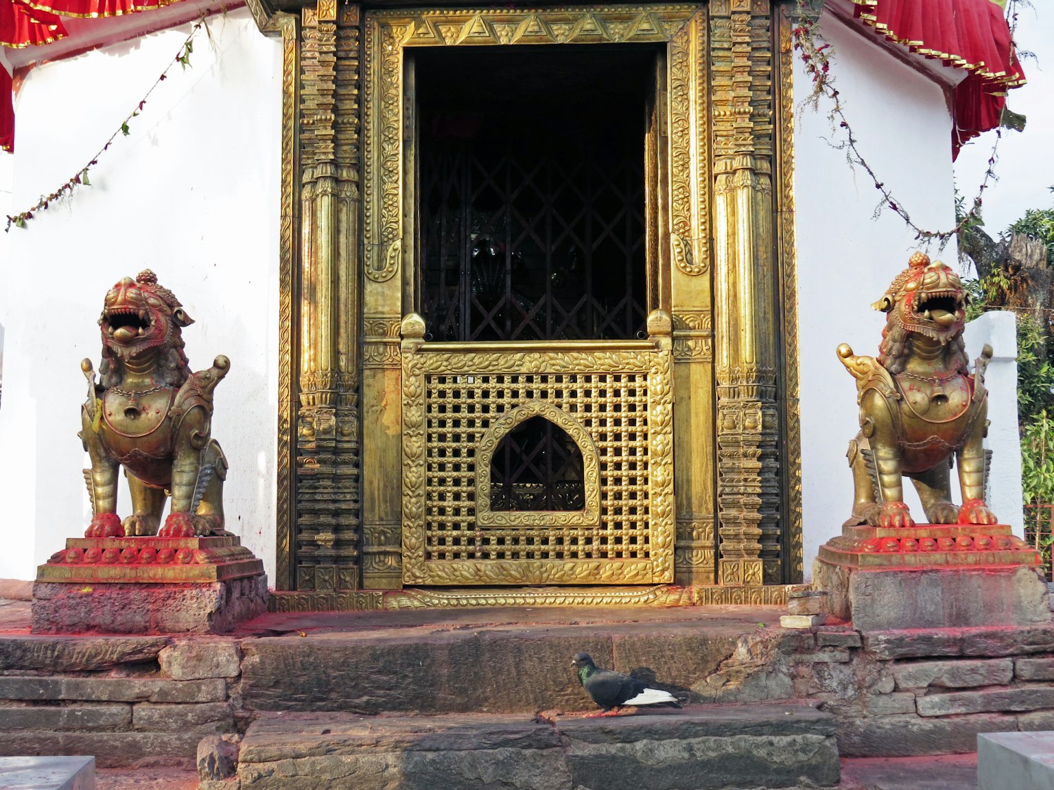 Temple entrance with golden lion statues and a pigeon